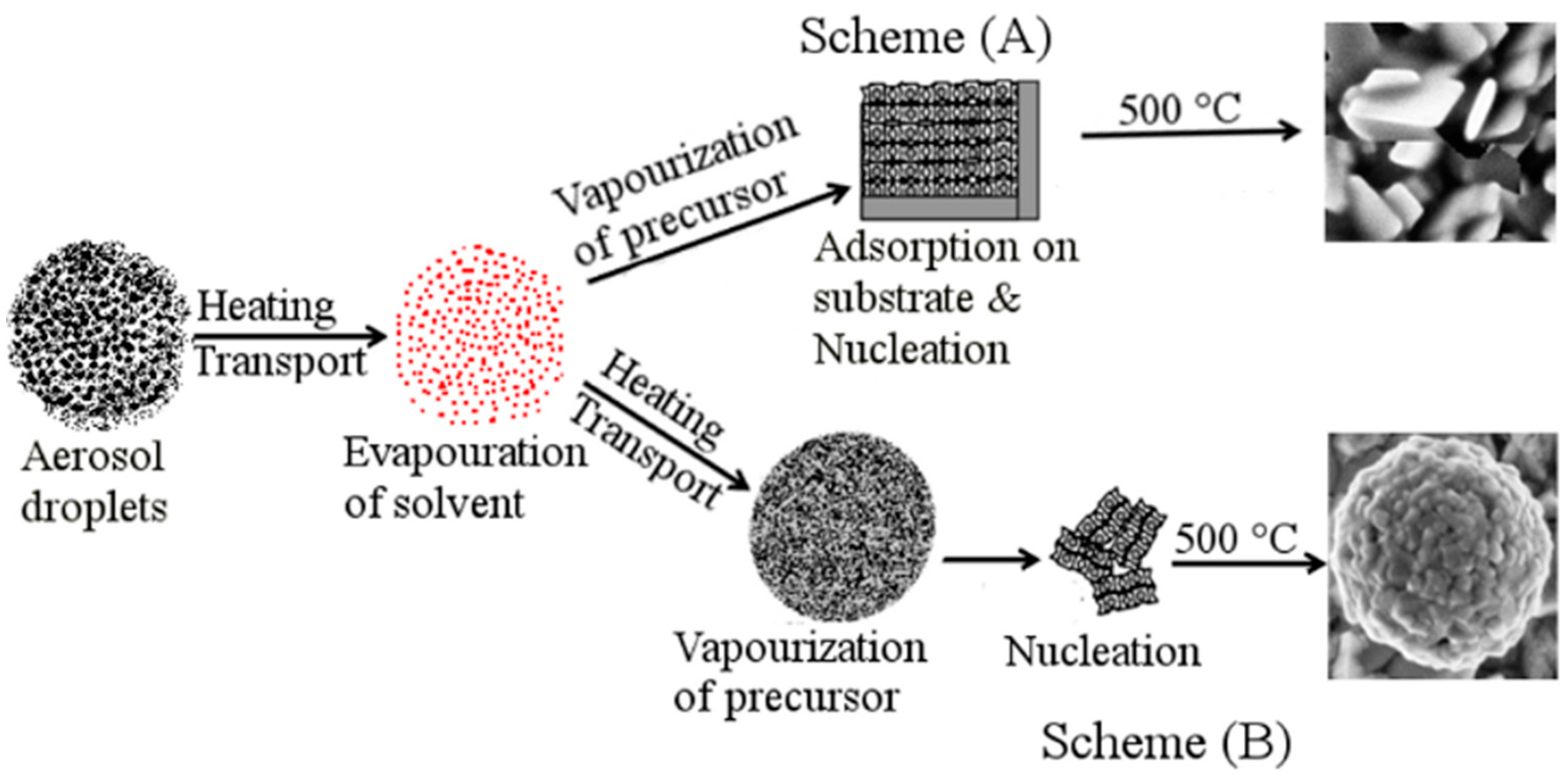 Nanomaterials 09 00755 g003
