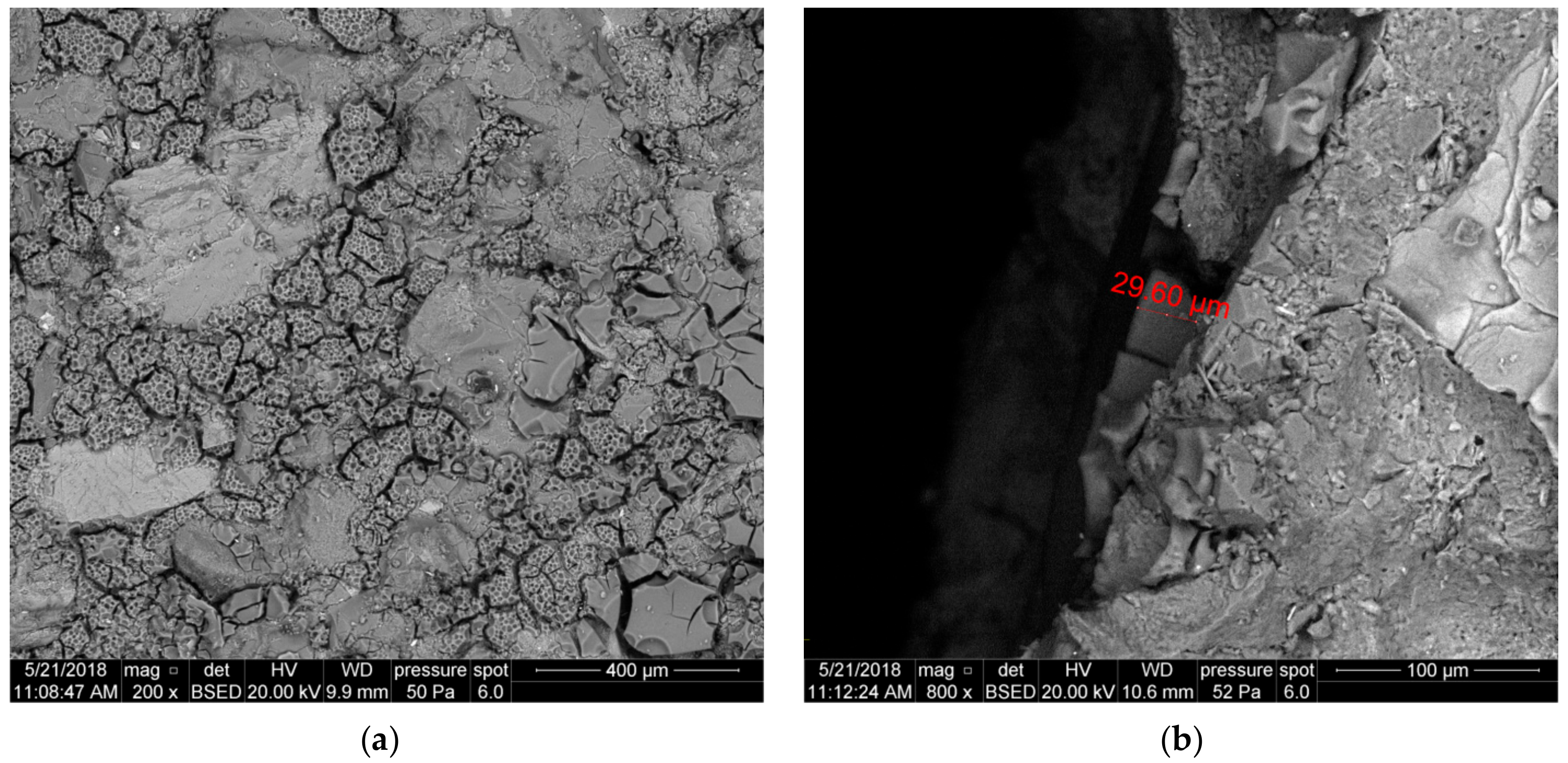 Nanomaterials 09 00766 g012