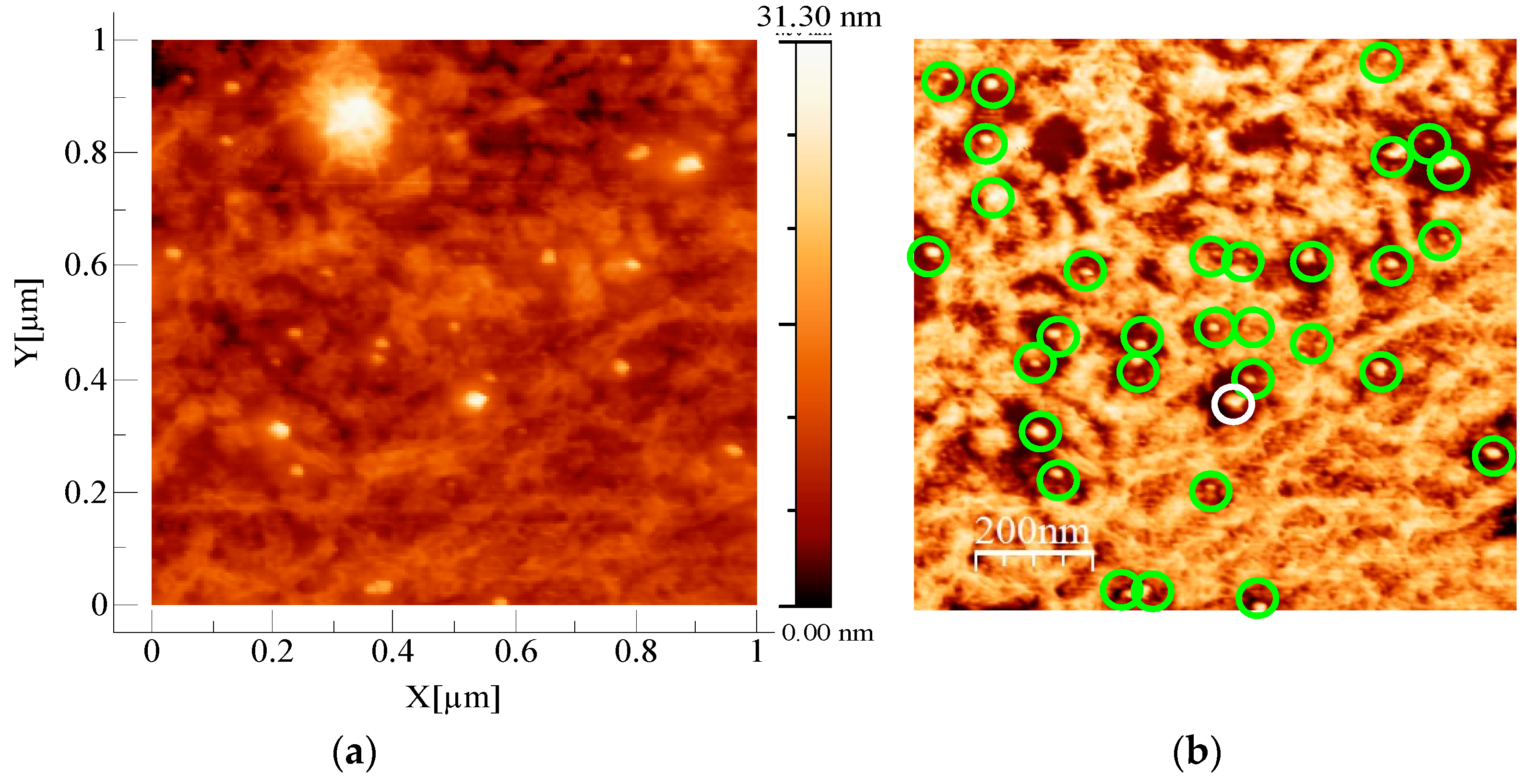 Nanomaterials 09 00780 g002a Nanomaterials 09 00780 g002a