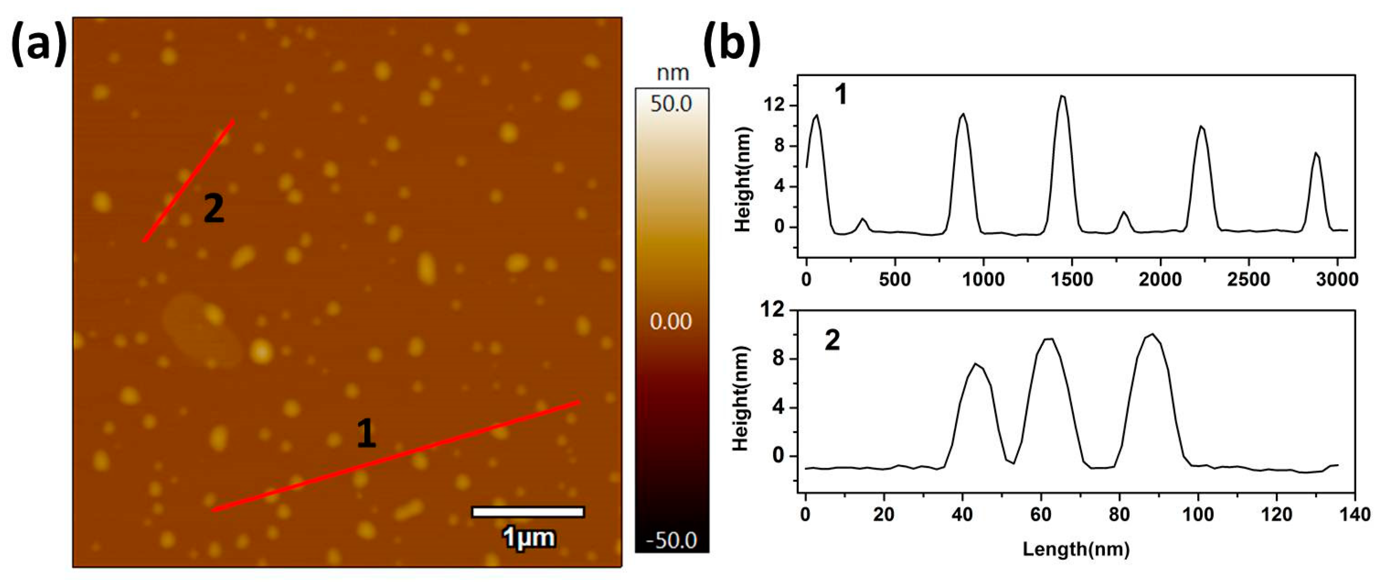 Nanomaterials 09 00781 g004
