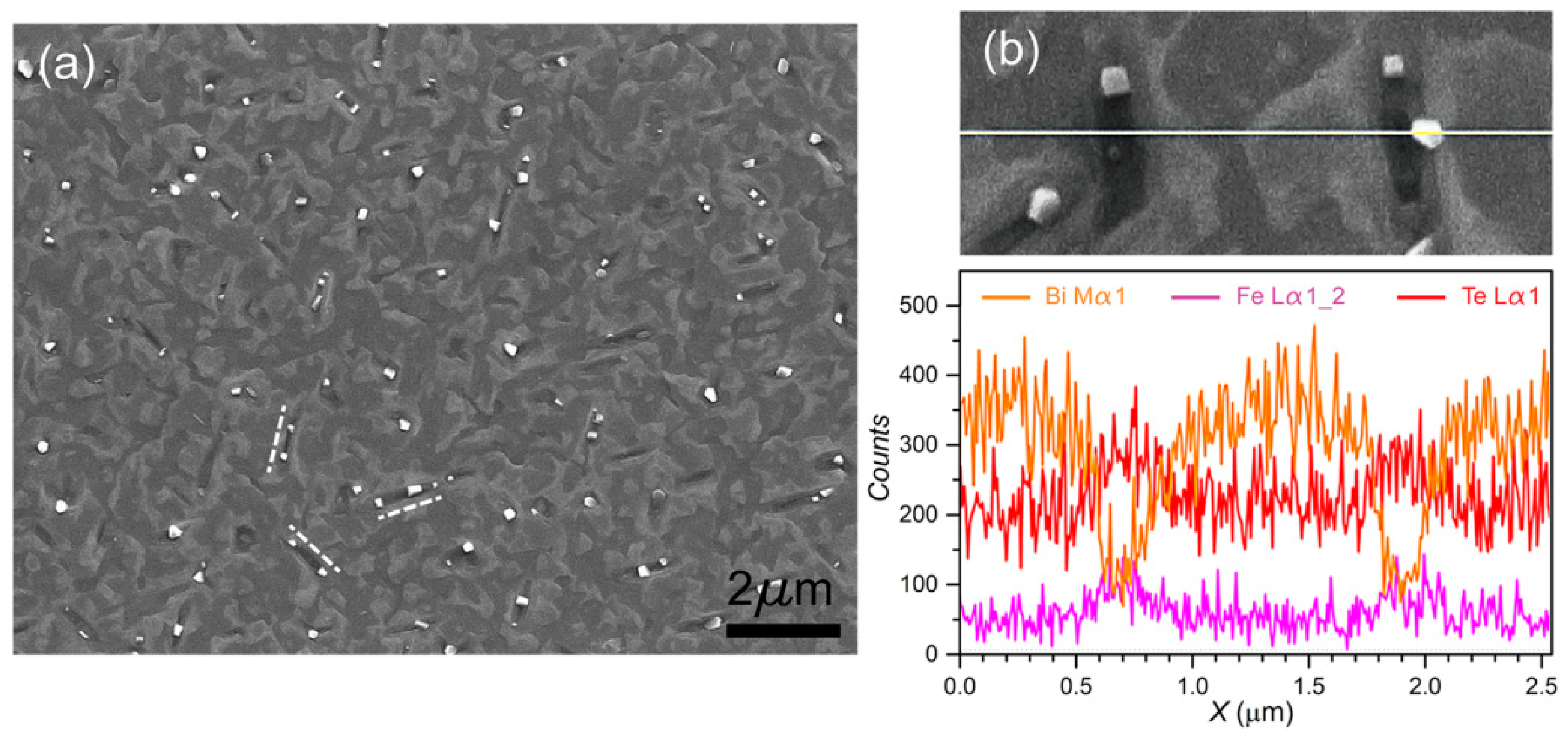 Nanomaterials 09 00782 g002