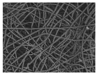 Nanomaterials 09 00786 i005 Nanomaterials 09 00786 i005