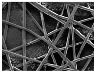 Nanomaterials 09 00786 i011 Nanomaterials 09 00786 i011