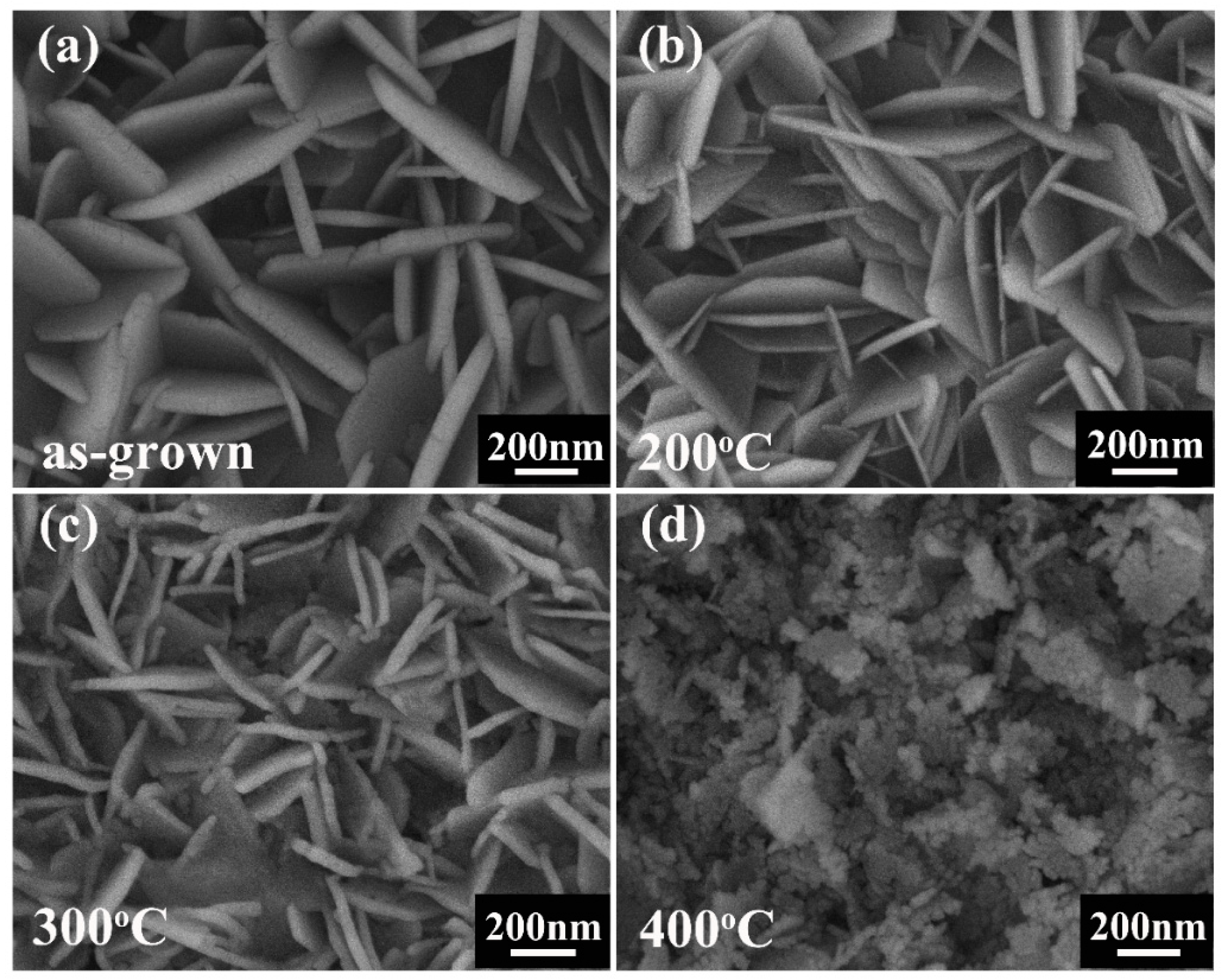 Nanomaterials 09 00790 g003
