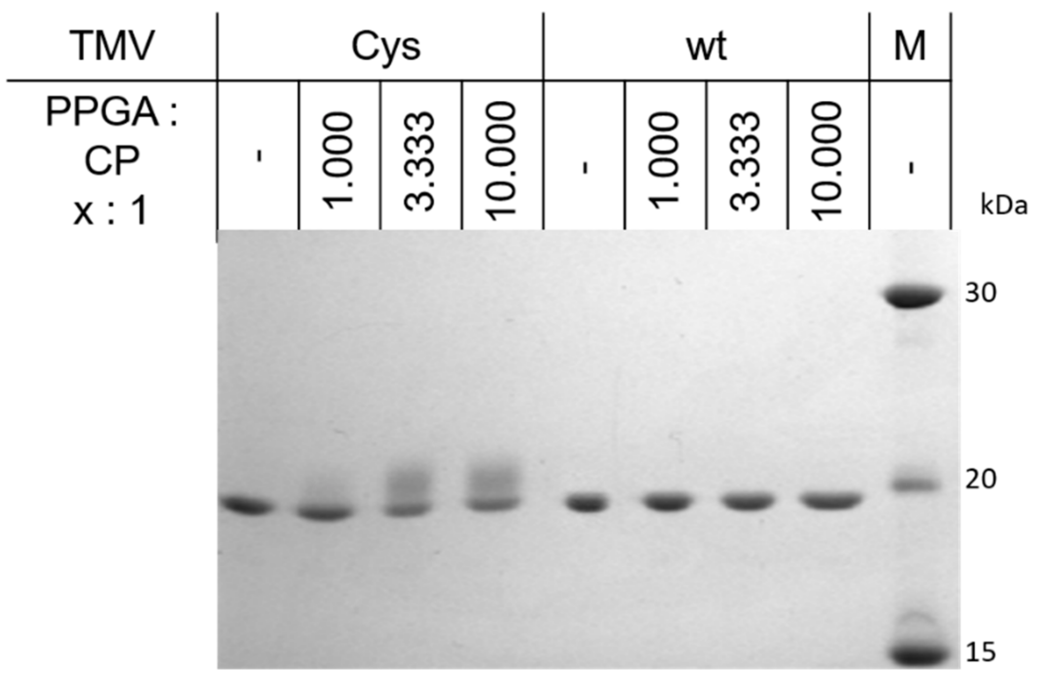Nanomaterials 09 00800 g003