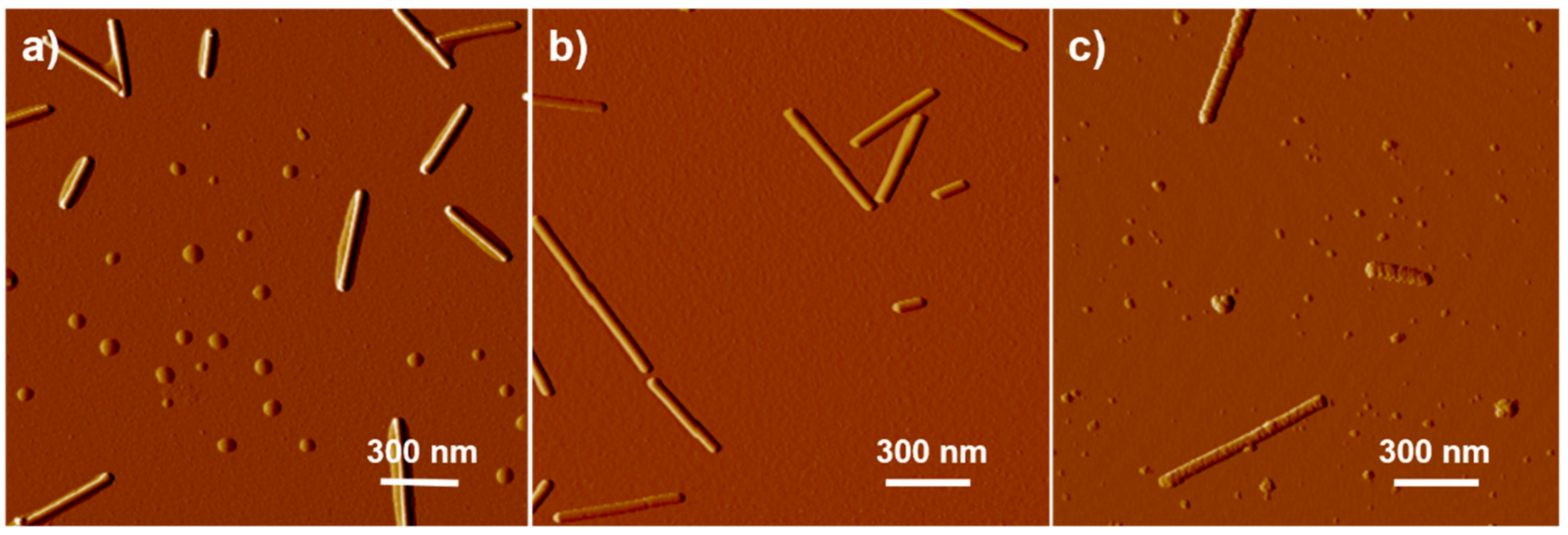Nanomaterials 09 00800 g004