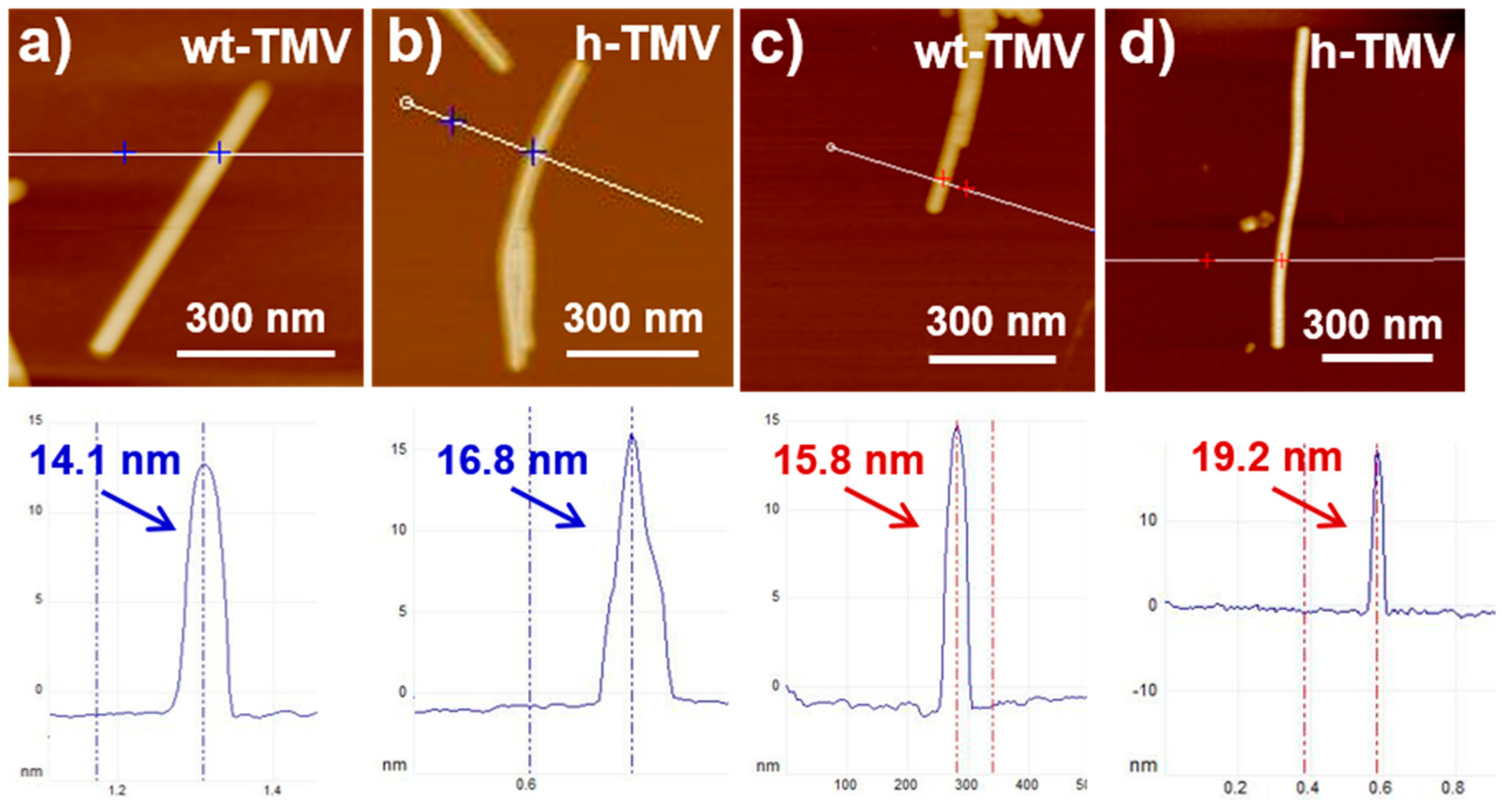 Nanomaterials 09 00800 g006