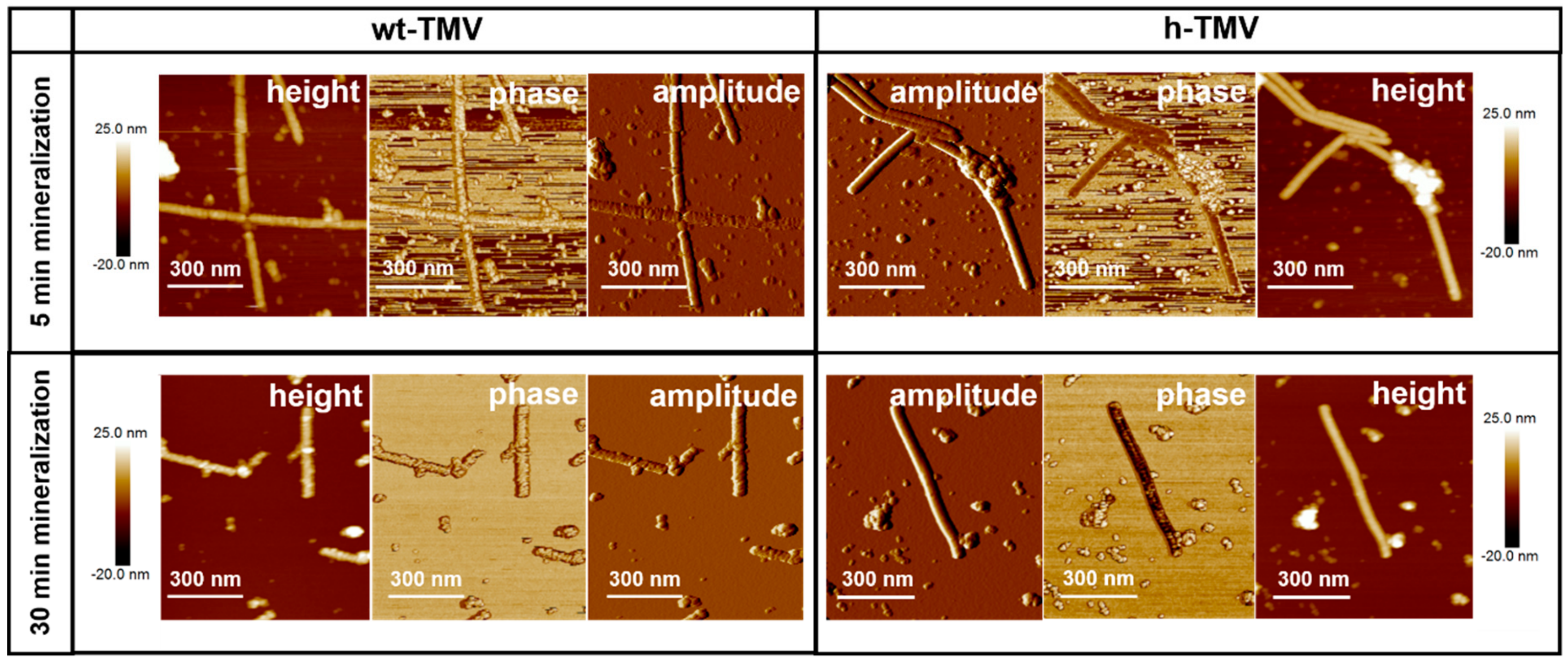 Nanomaterials 09 00800 g007