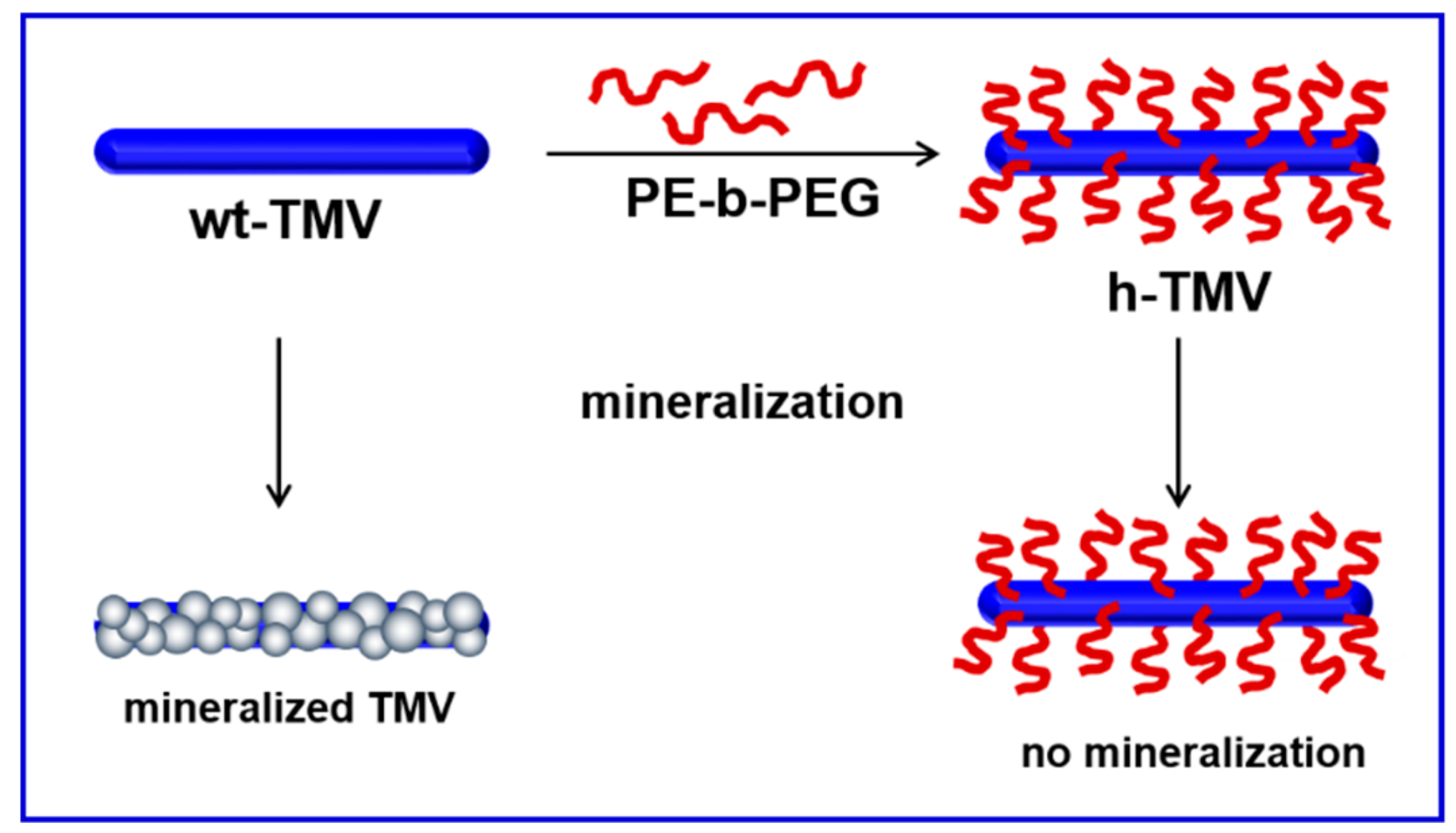 Nanomaterials 09 00800 sch001
