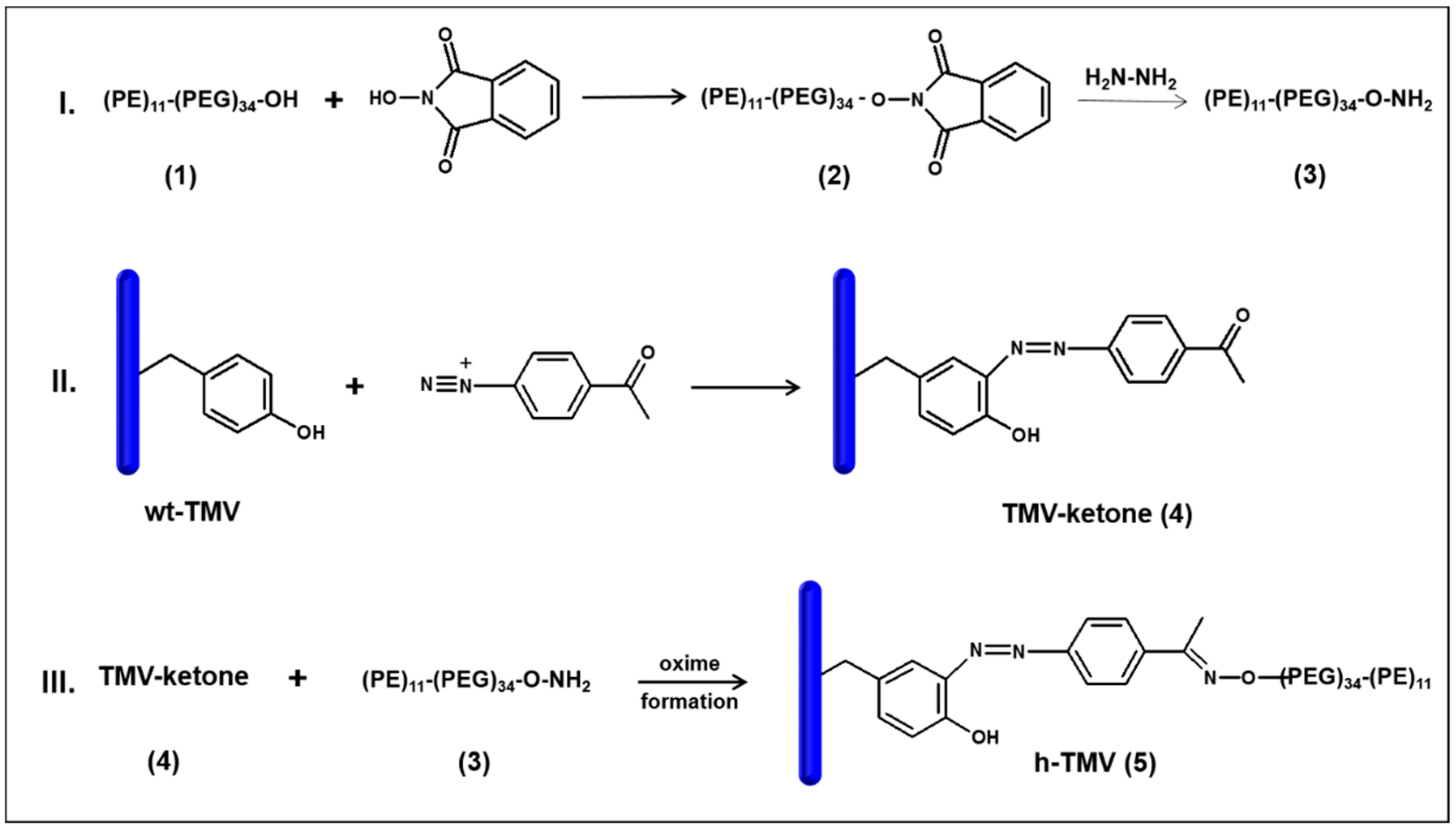 Nanomaterials 09 00800 sch003