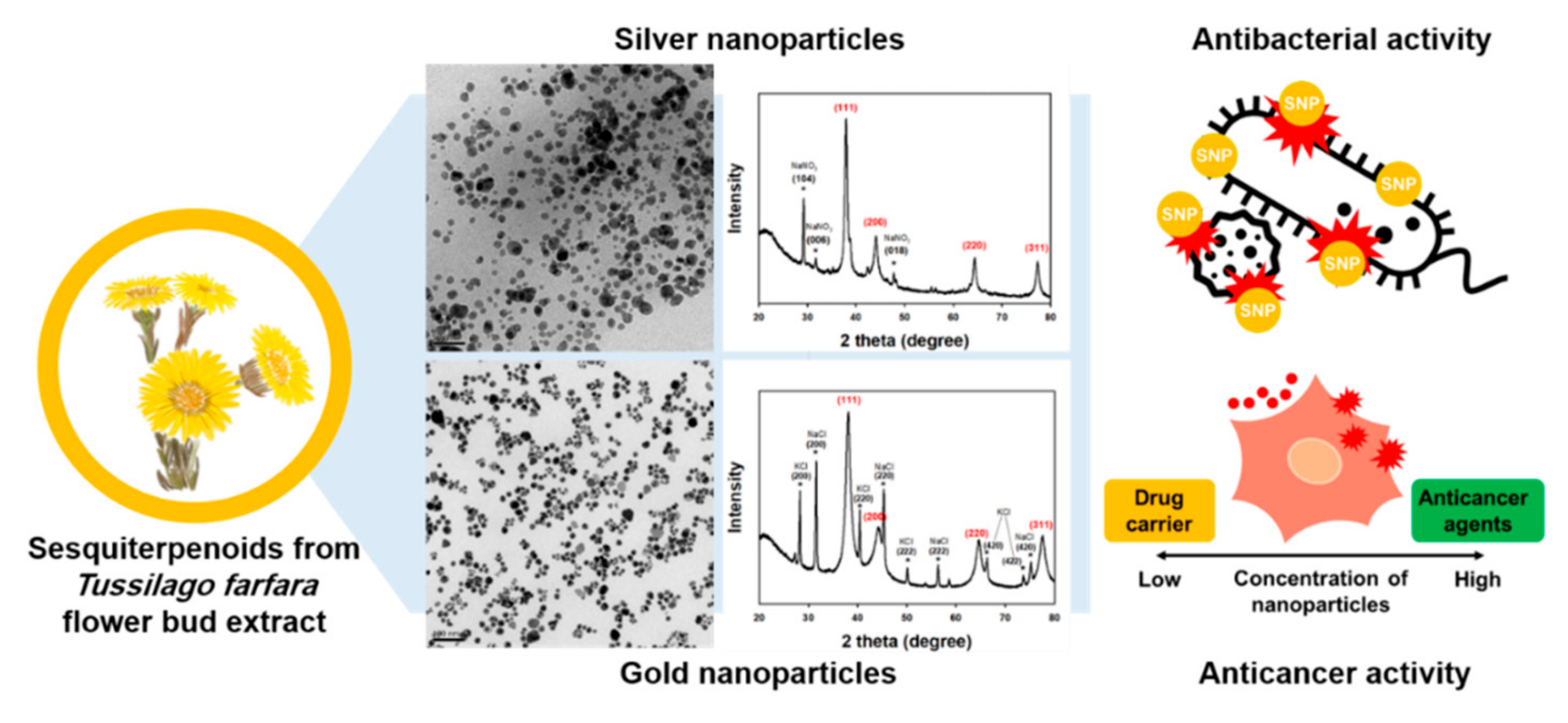 Nanomaterials 09 00819 g001