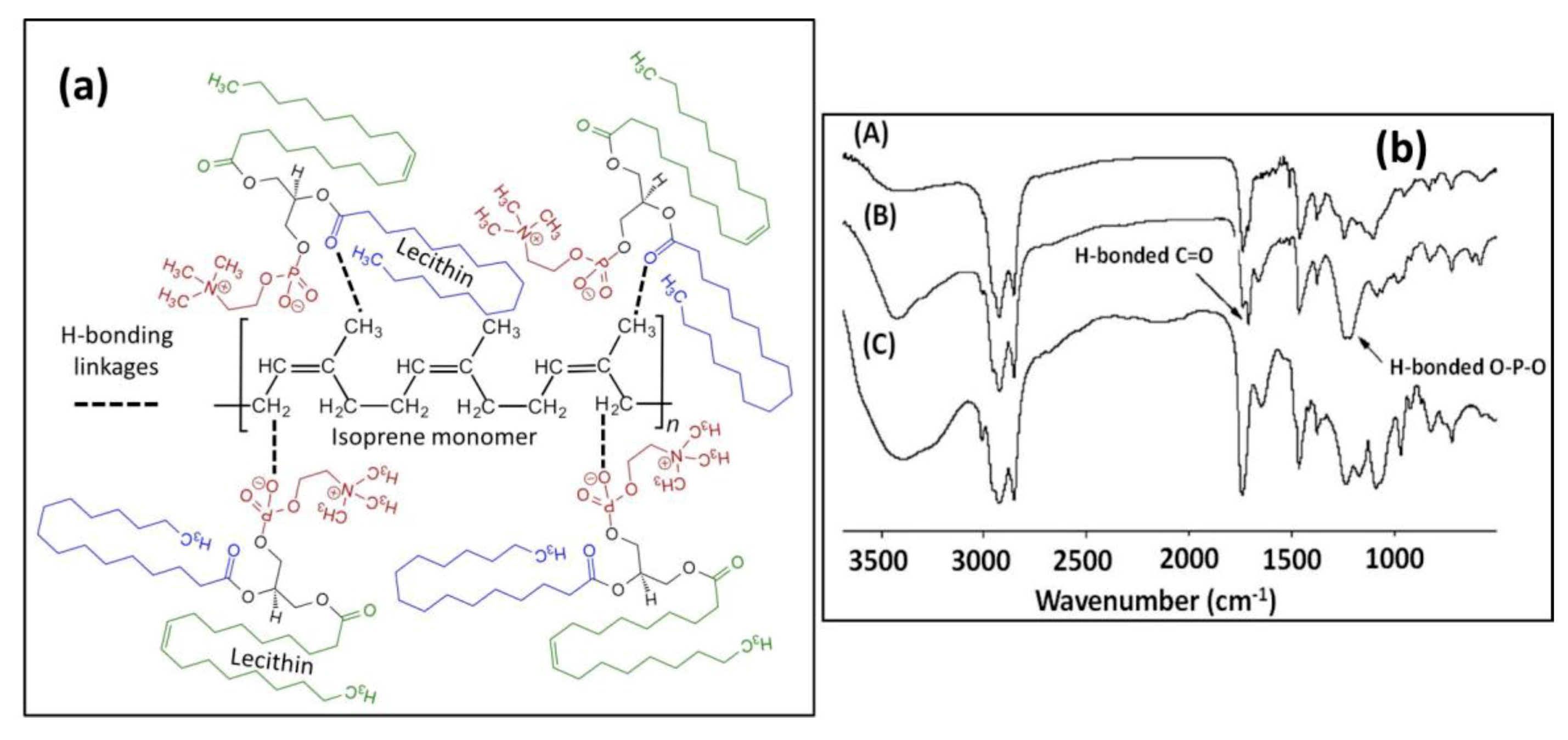 Nanomaterials 09 00824 g007