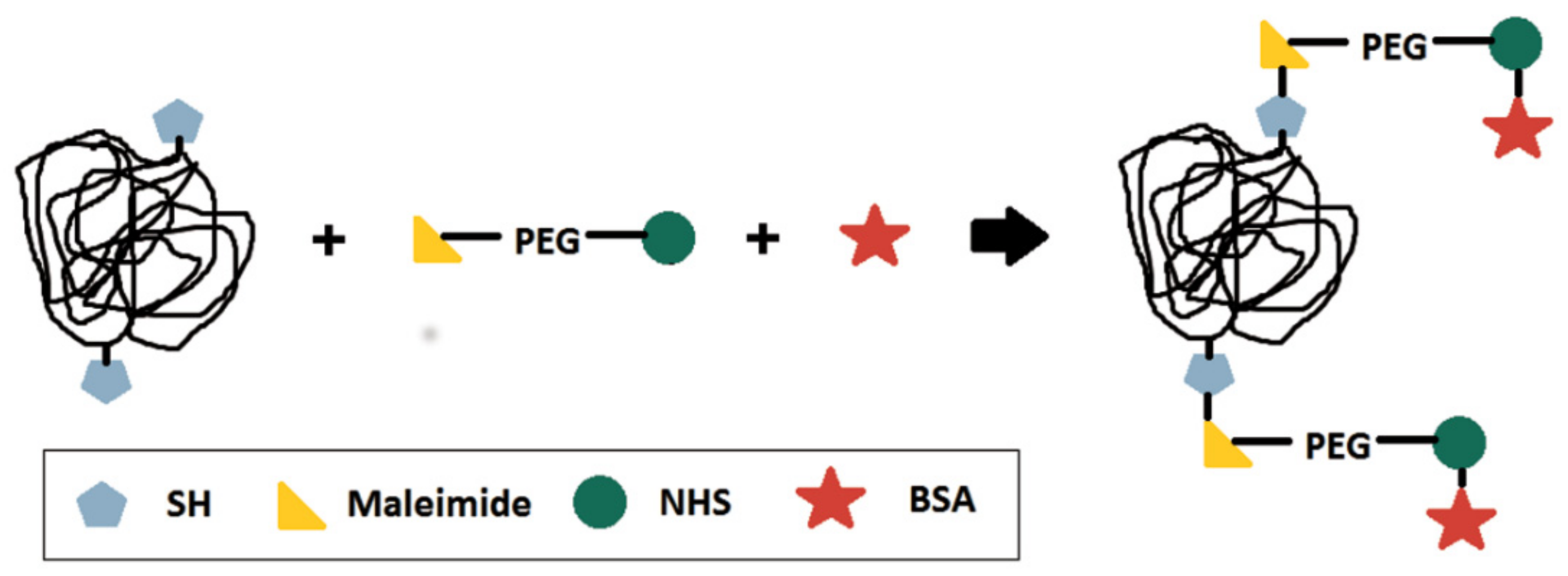 Nanomaterials 09 00828 g001