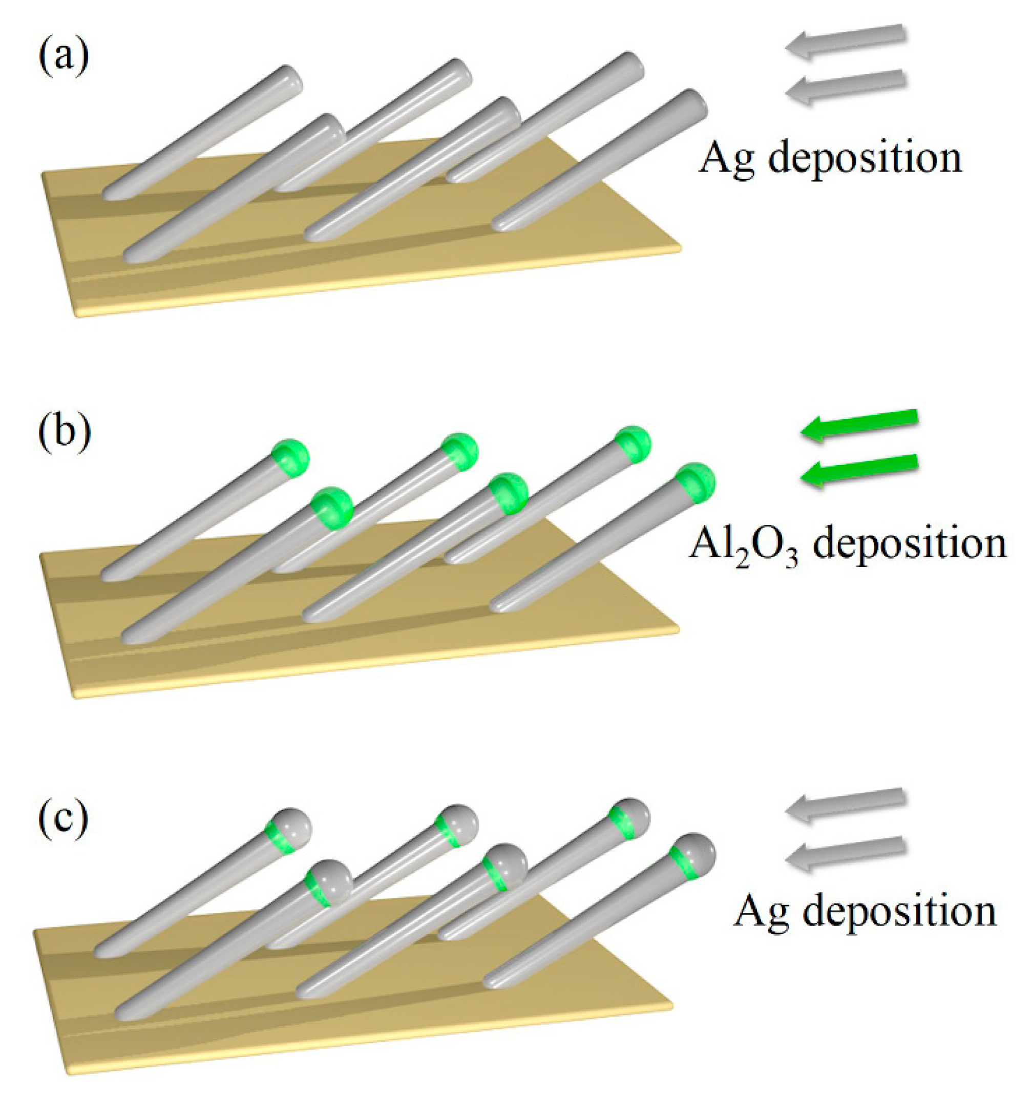 Nanomaterials 09 00830 g001