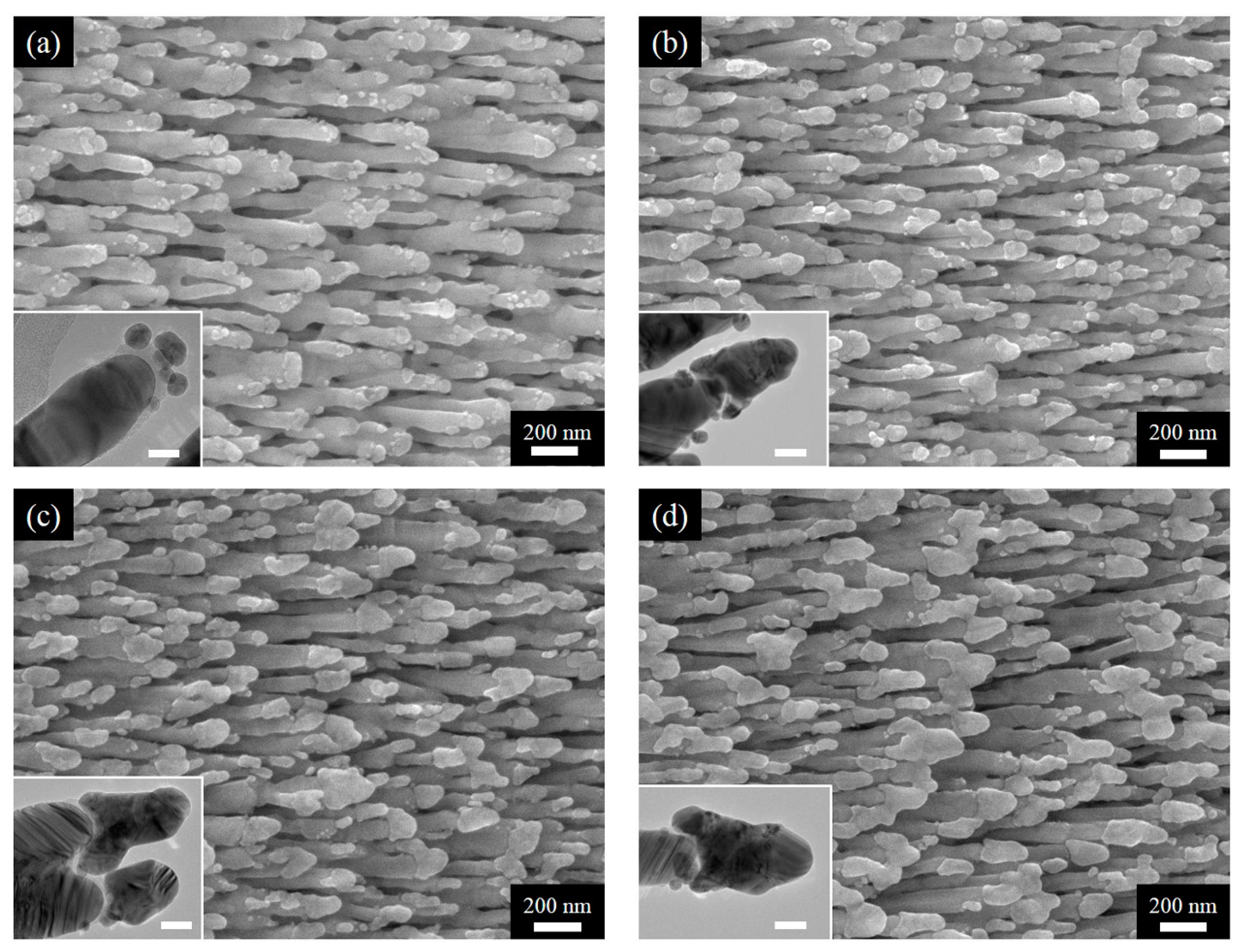 Nanomaterials 09 00830 g002