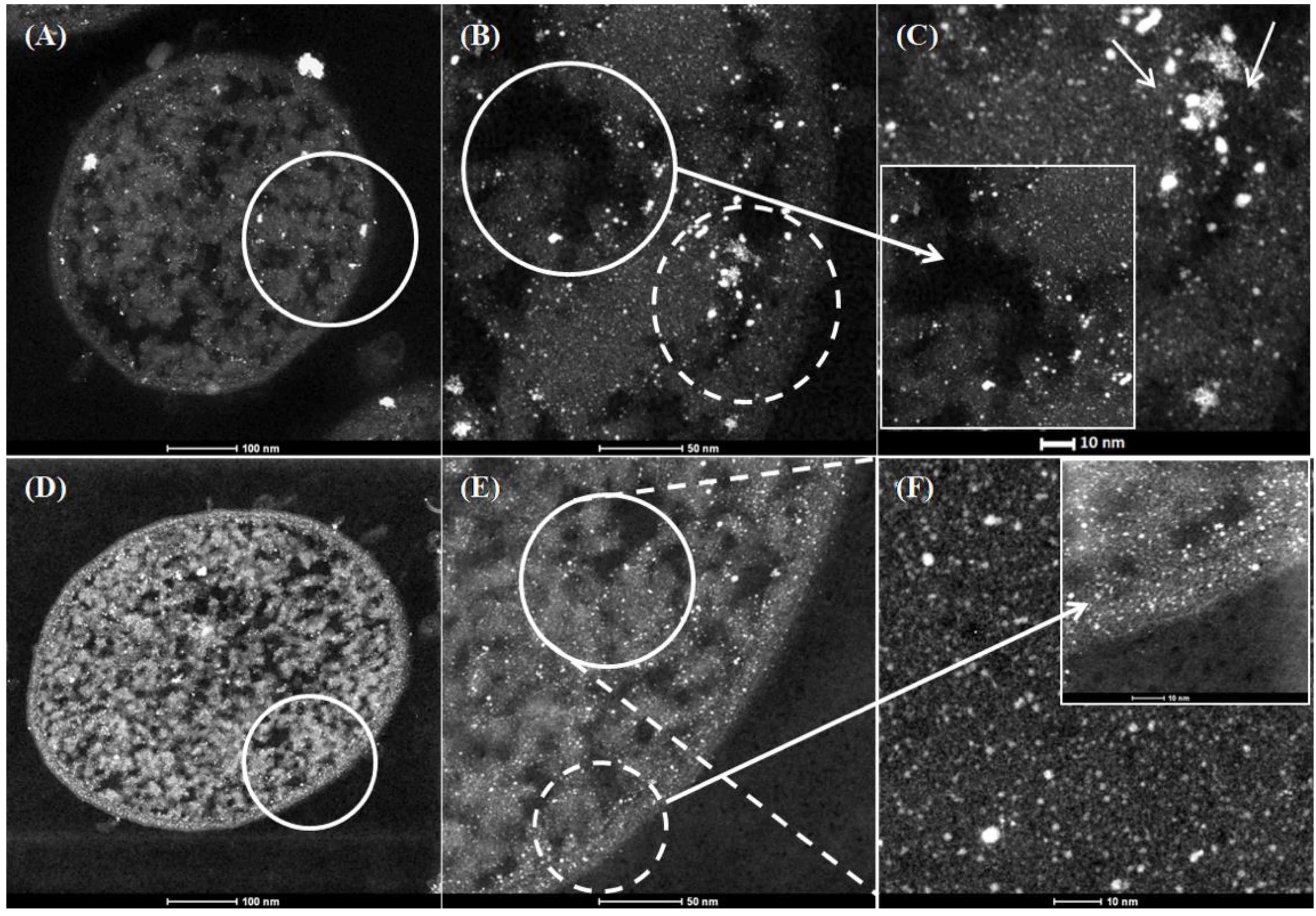 Nanomaterials 09 00857 g001 Nanomaterials 09 00857 g001