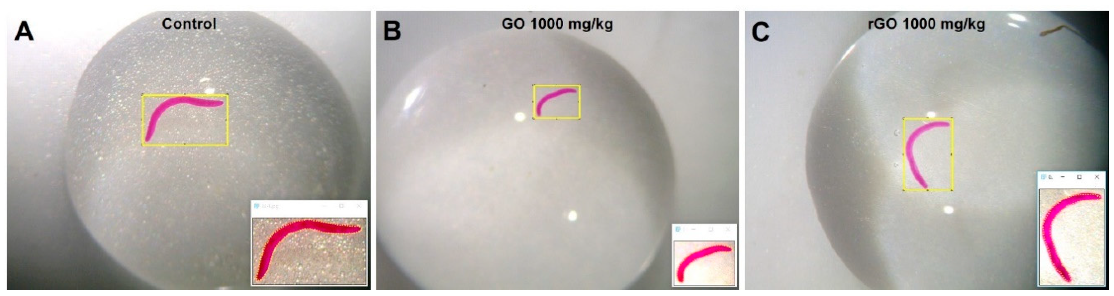 Nanomaterials 09 00858 g001
