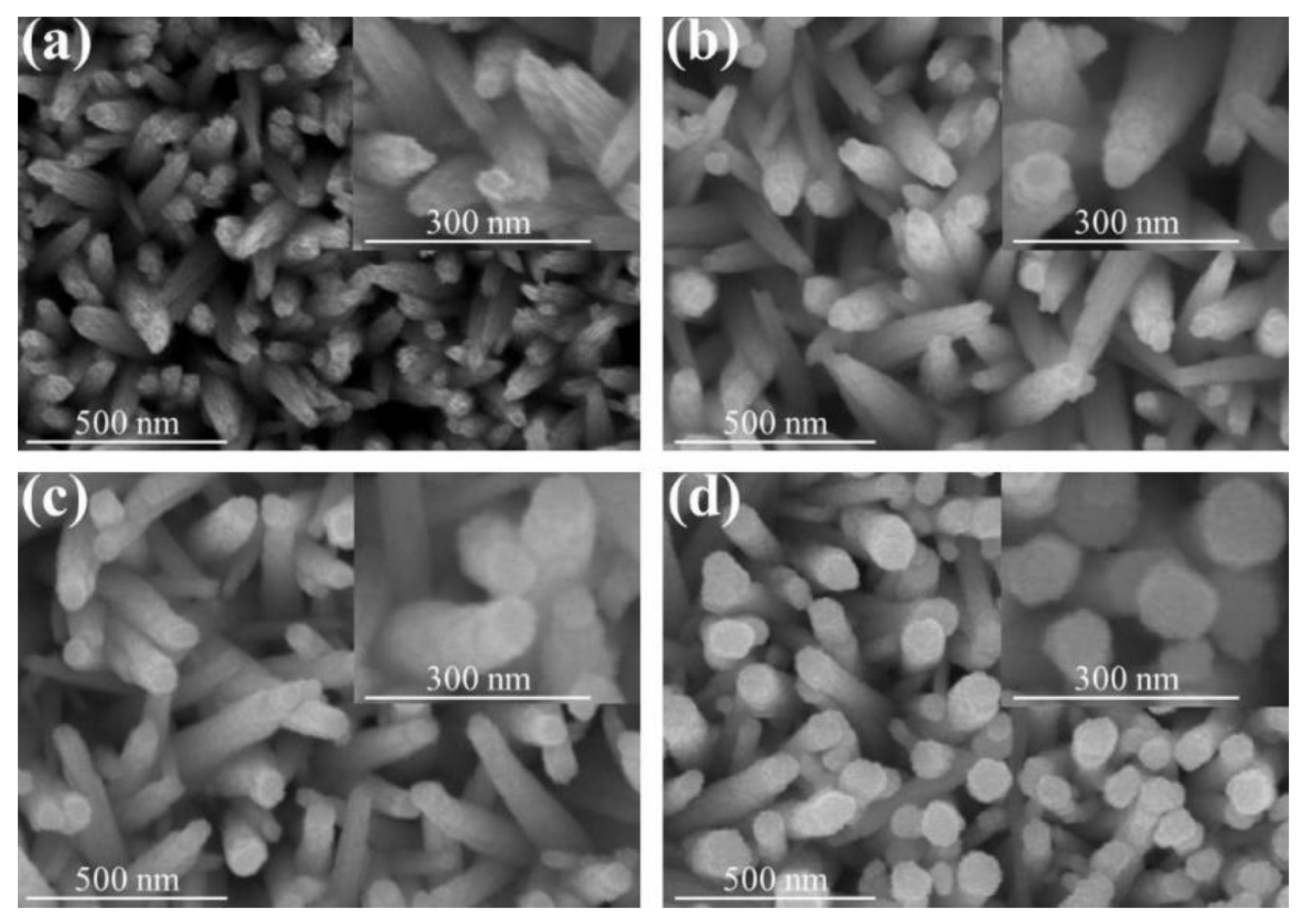 Nanomaterials 09 00864 g002