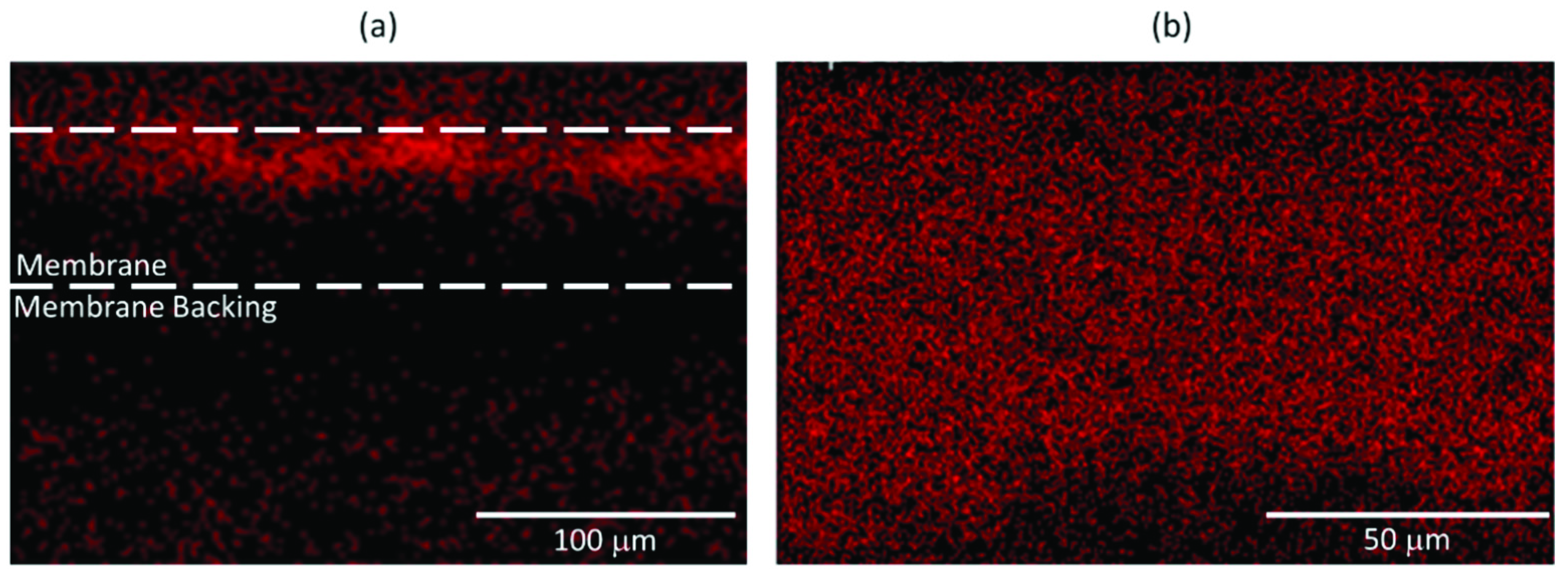 Nanomaterials 09 00867 g010