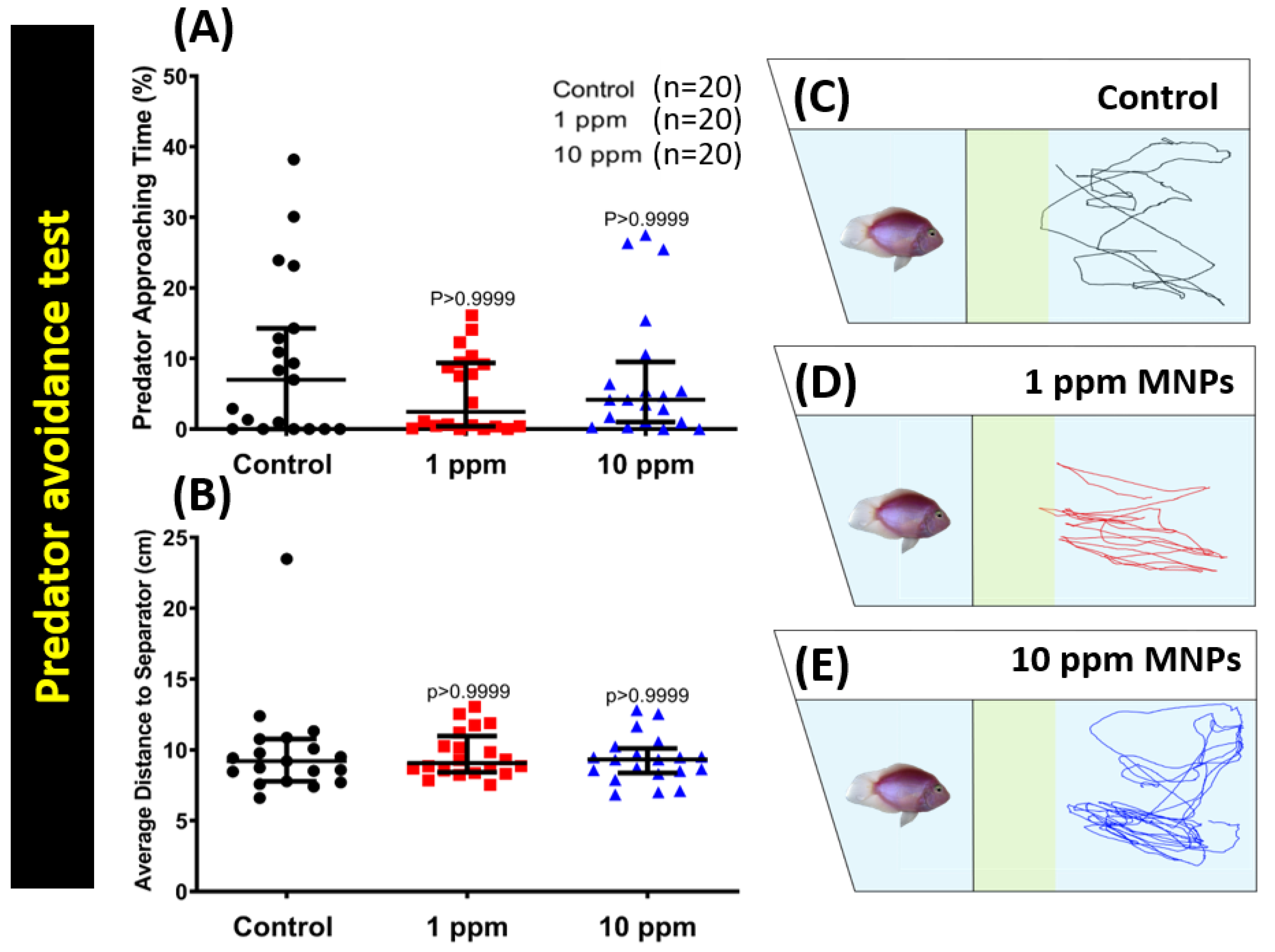 Nanomaterials 09 00873 g004 Nanomaterials 09 00873 g004