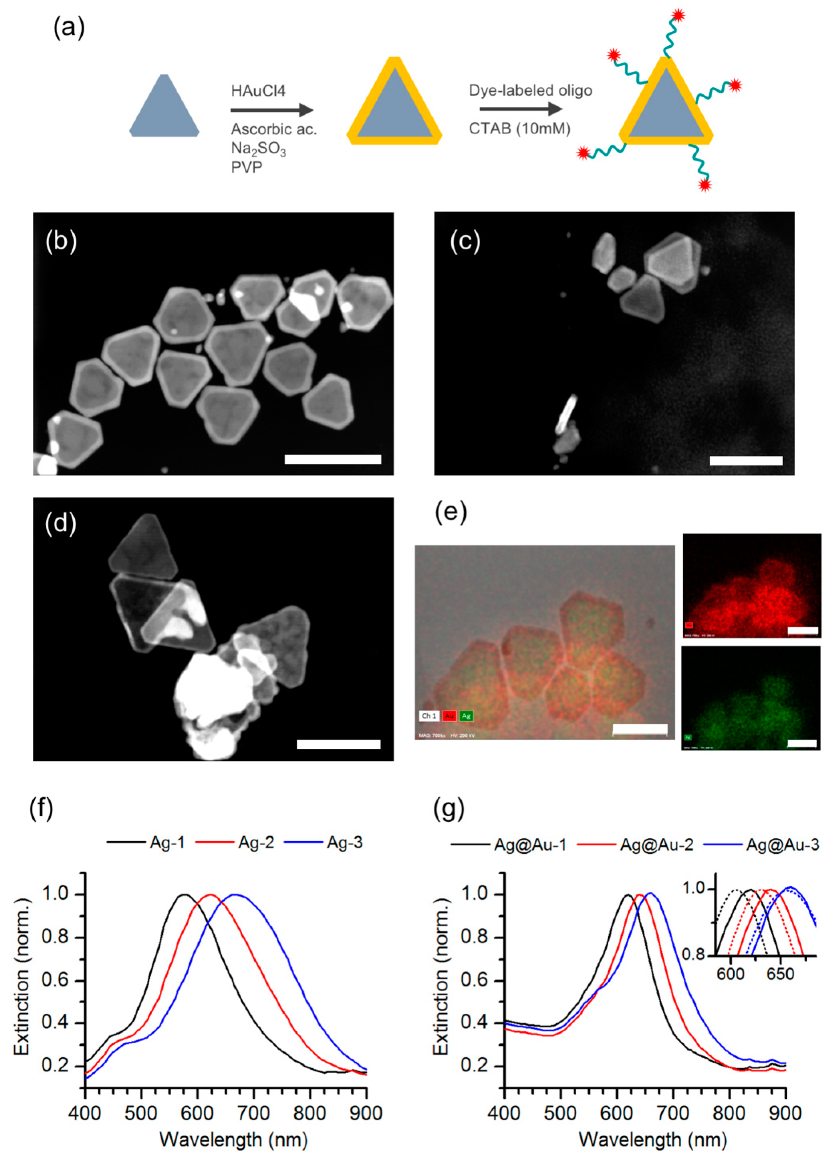 Nanomaterials 09 00893 g002