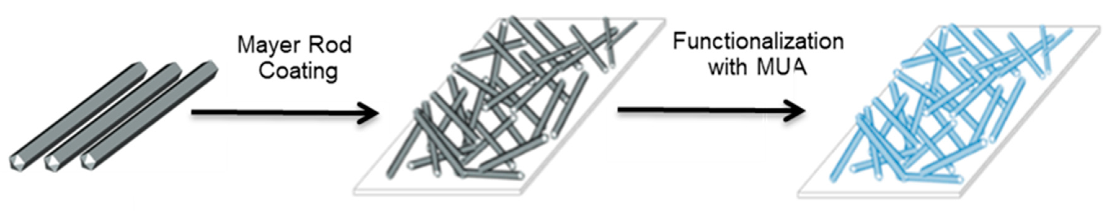 Nanomaterials 09 00899 sch001 Nanomaterials 09 00899 sch001