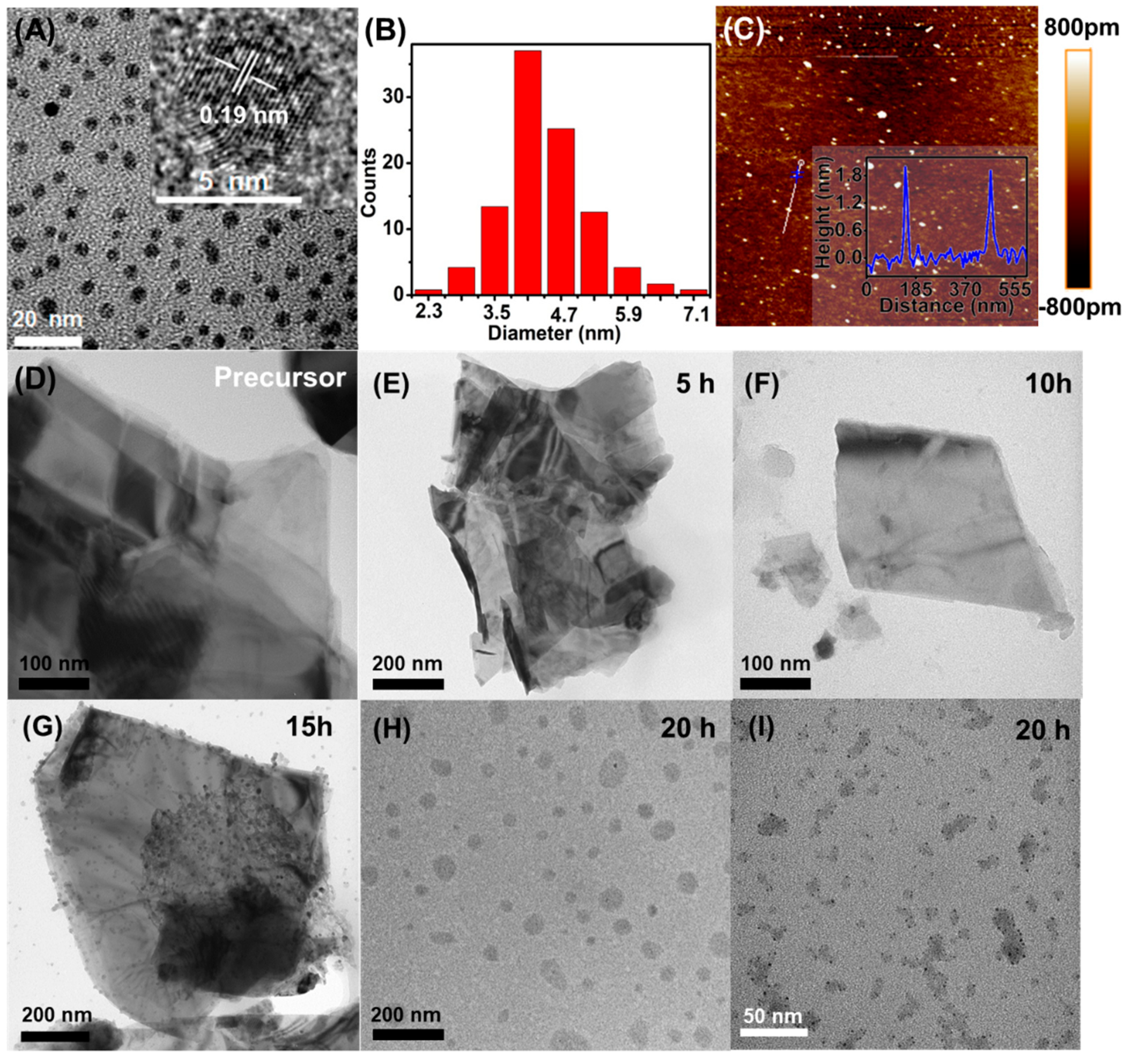 Nanomaterials 09 00906 g002