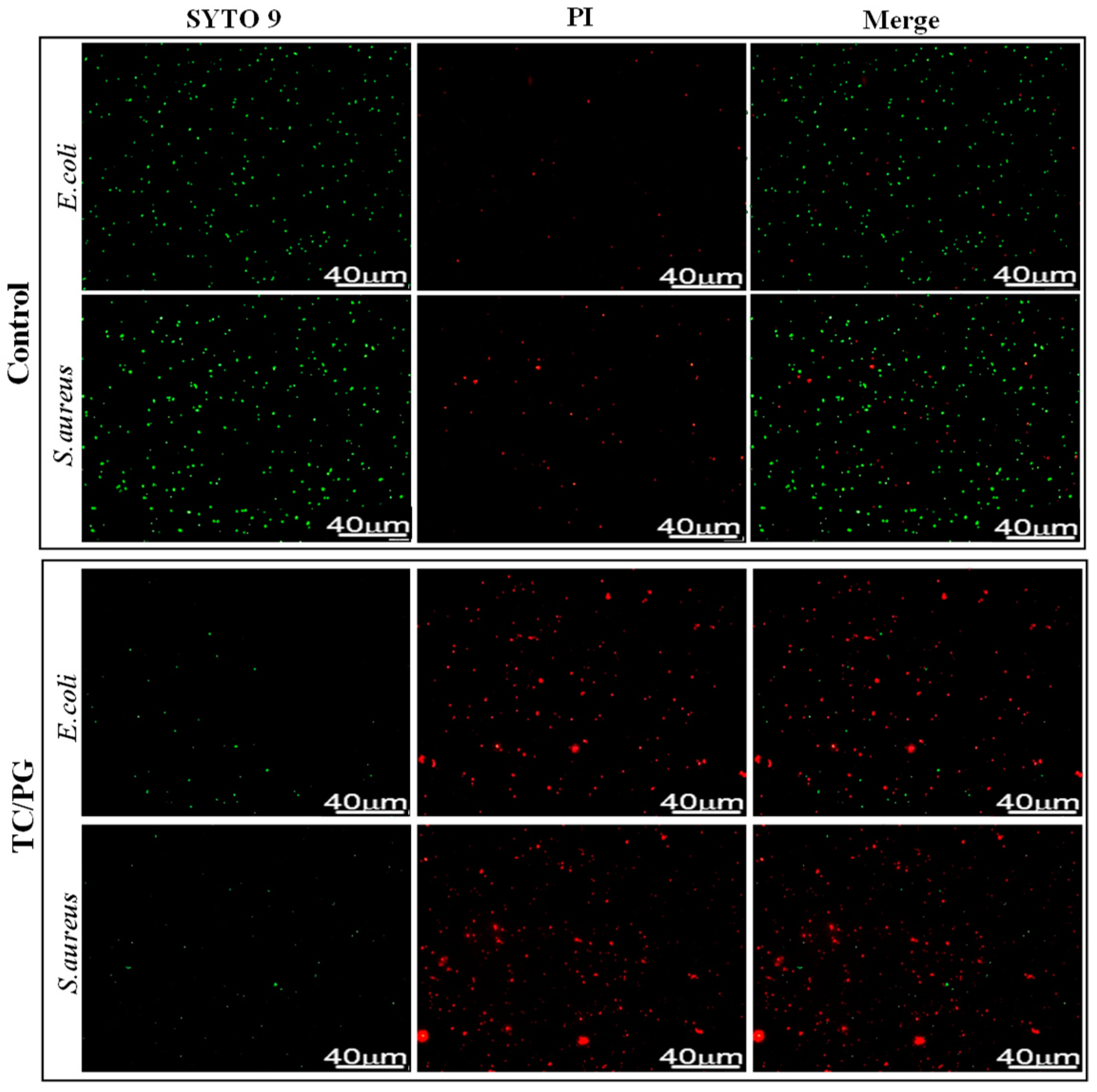 Nanomaterials 09 00913 g005