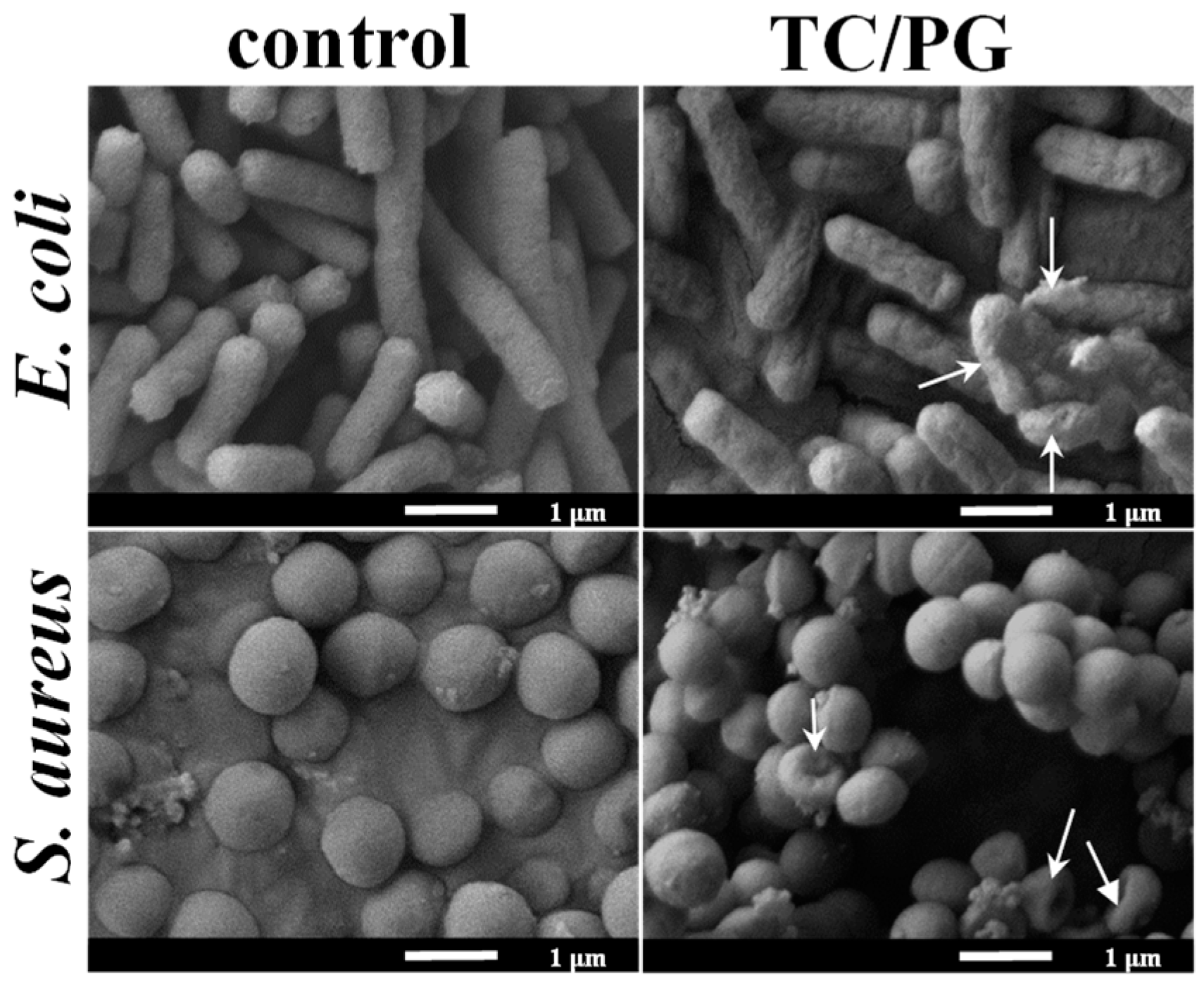 Nanomaterials 09 00913 g006