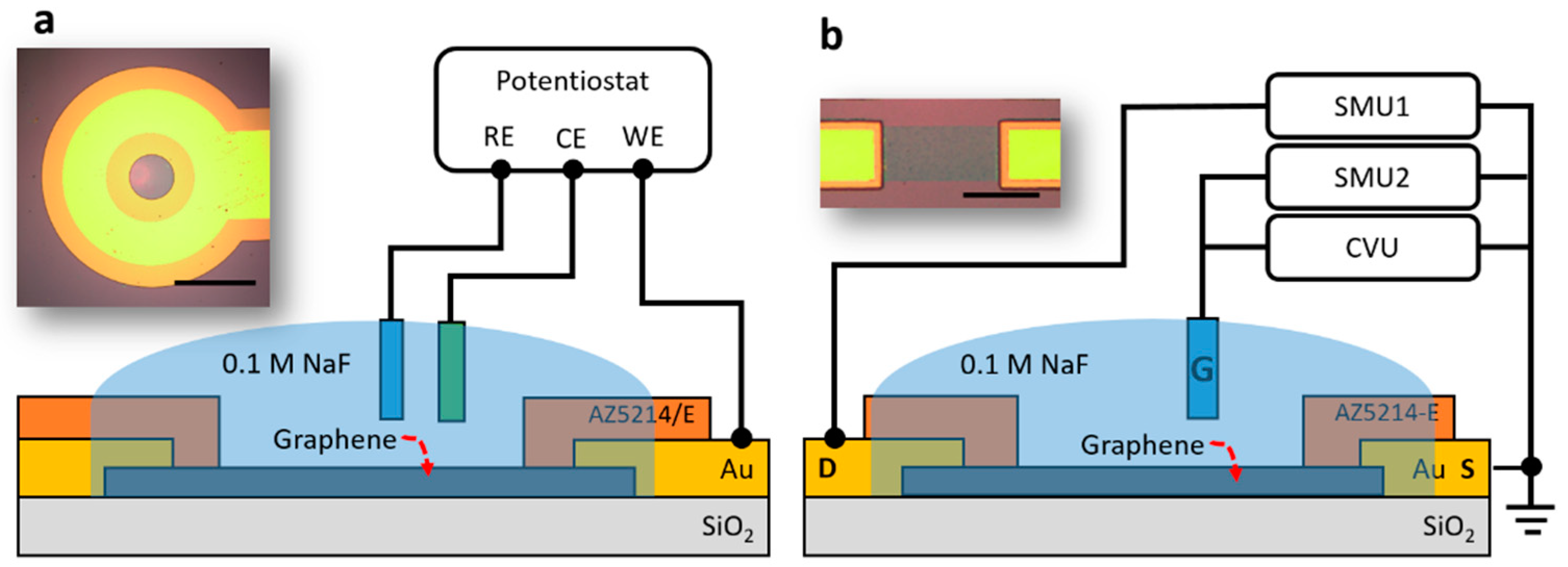 Nanomaterials 09 00923 g001 Nanomaterials 09 00923 g001