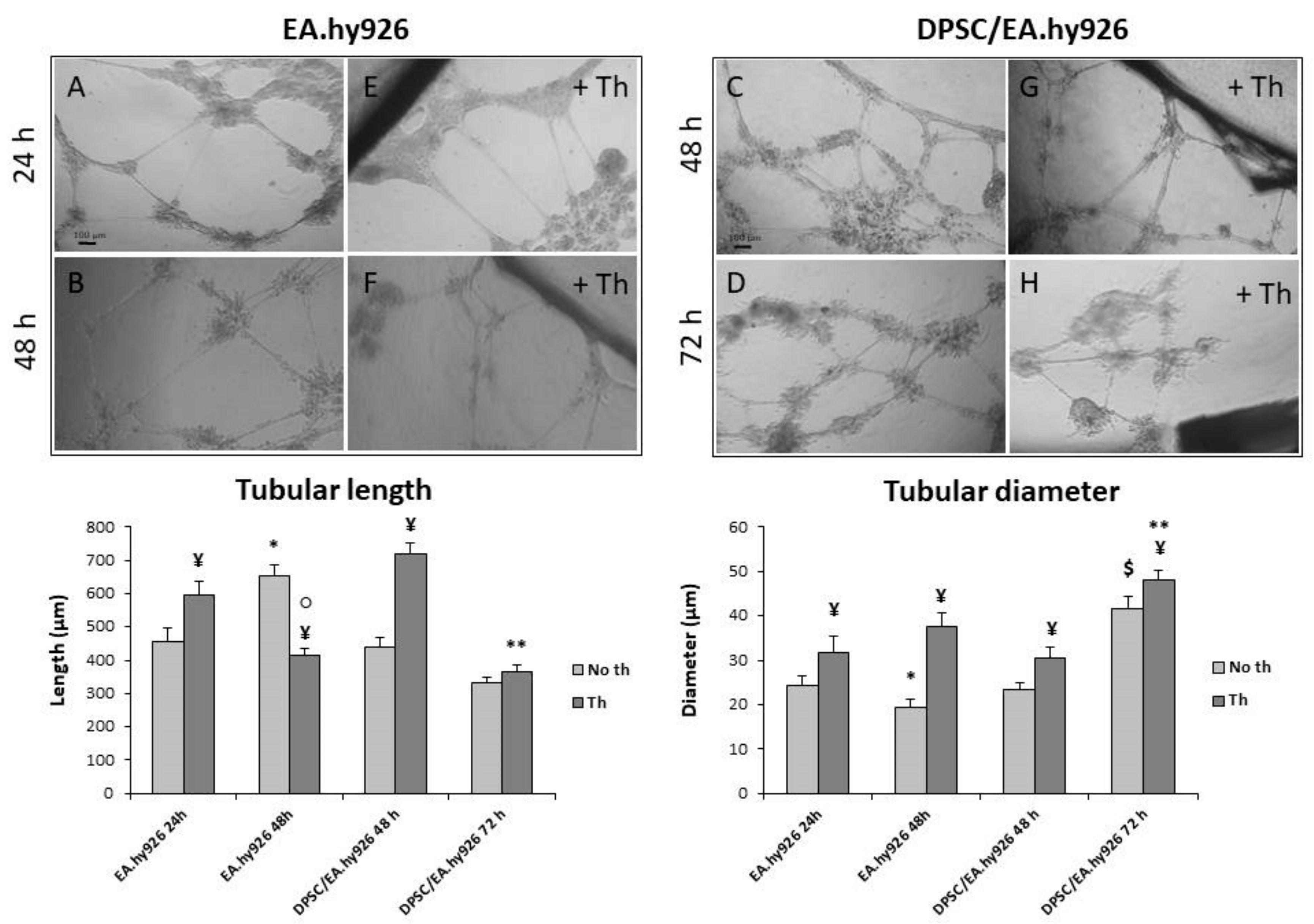 Nanomaterials 09 00928 g004