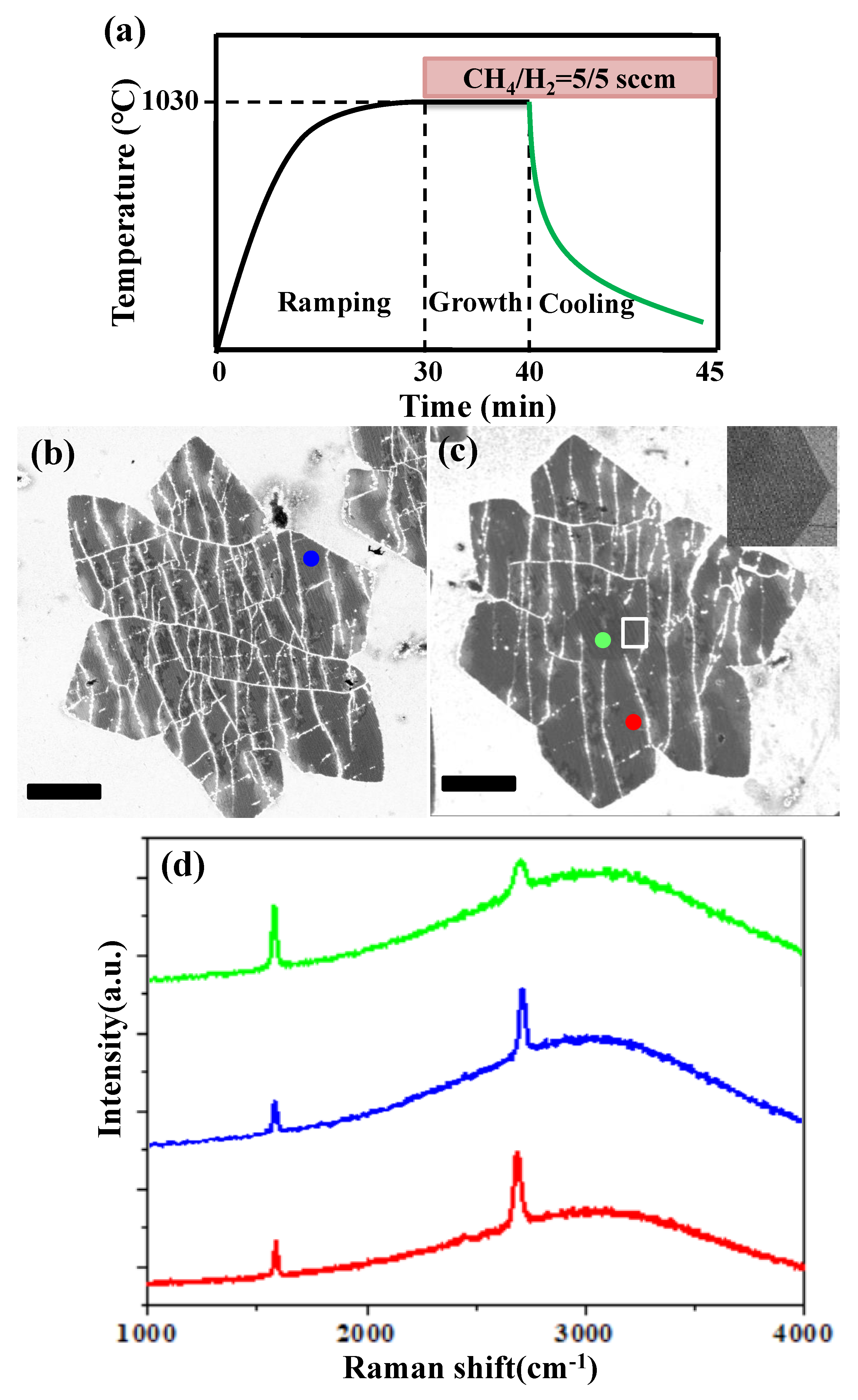 Nanomaterials 09 00930 g001 Nanomaterials 09 00930 g001