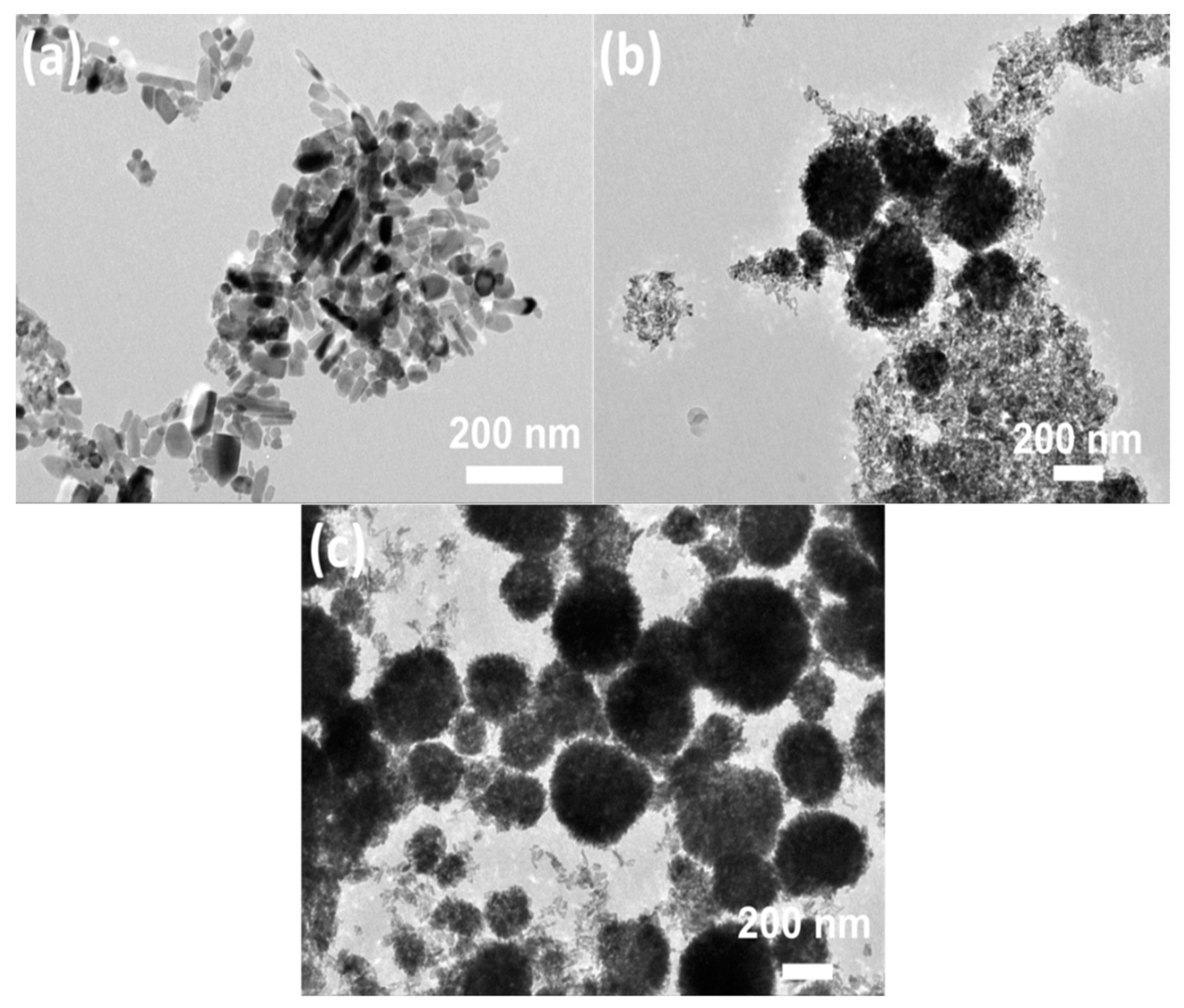 Nanomaterials 09 00931 g003 Nanomaterials 09 00931 g003