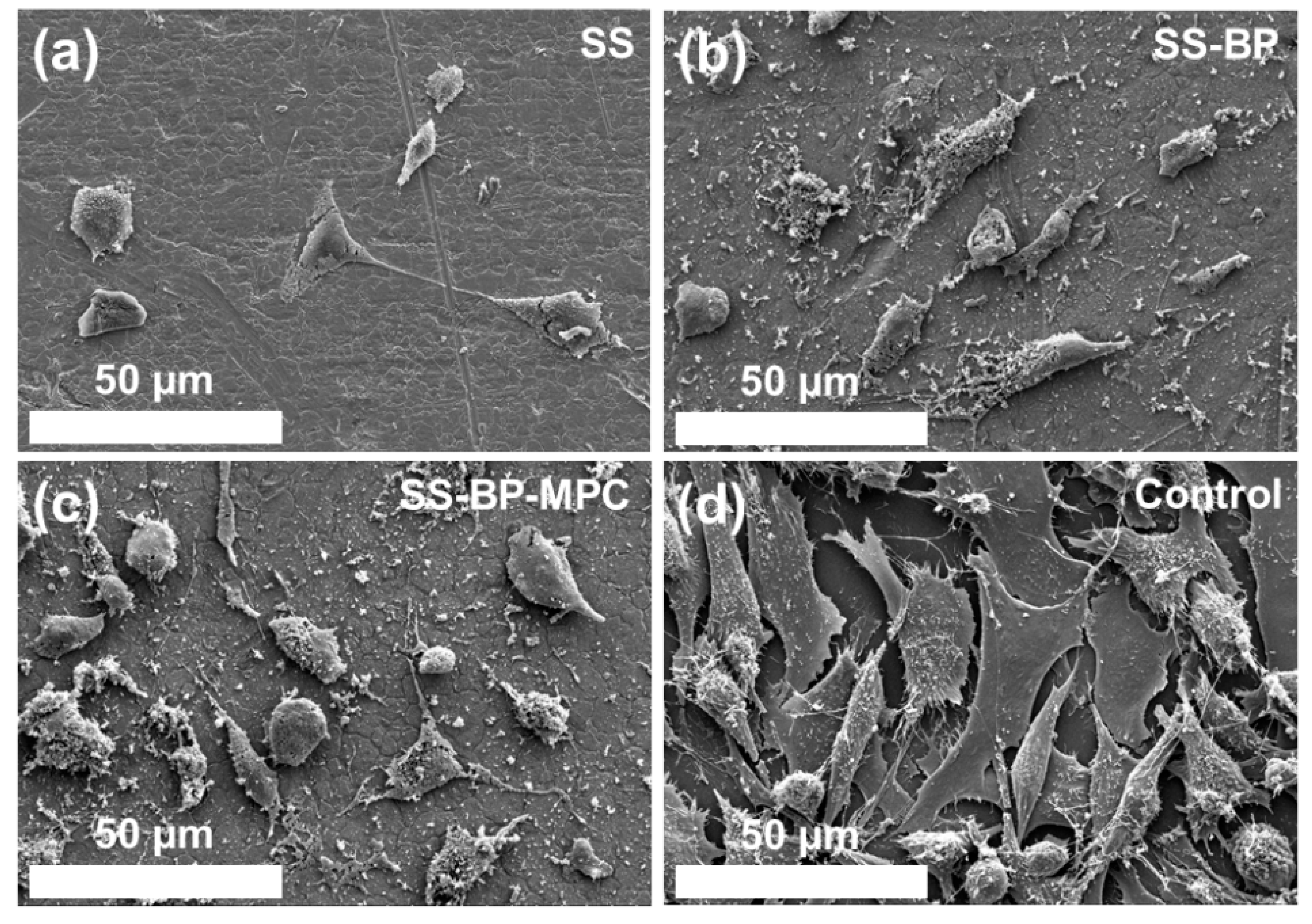 Nanomaterials 09 00939 g010 Nanomaterials 09 00939 g010