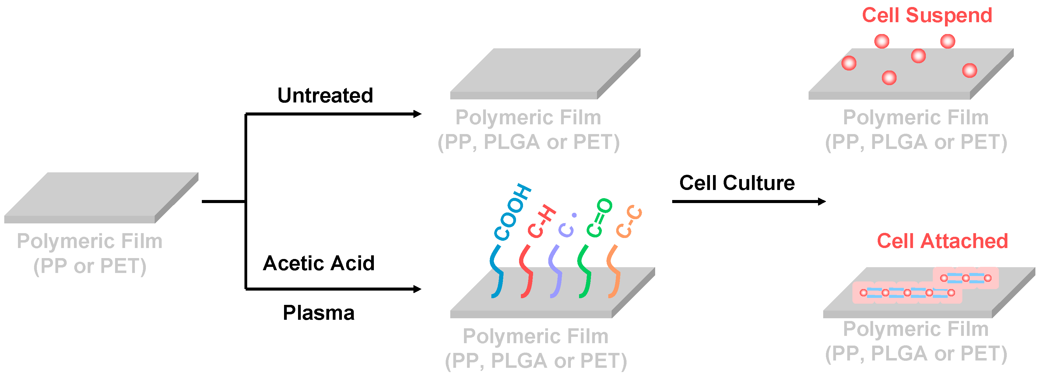 Nanomaterials 09 00941 g001