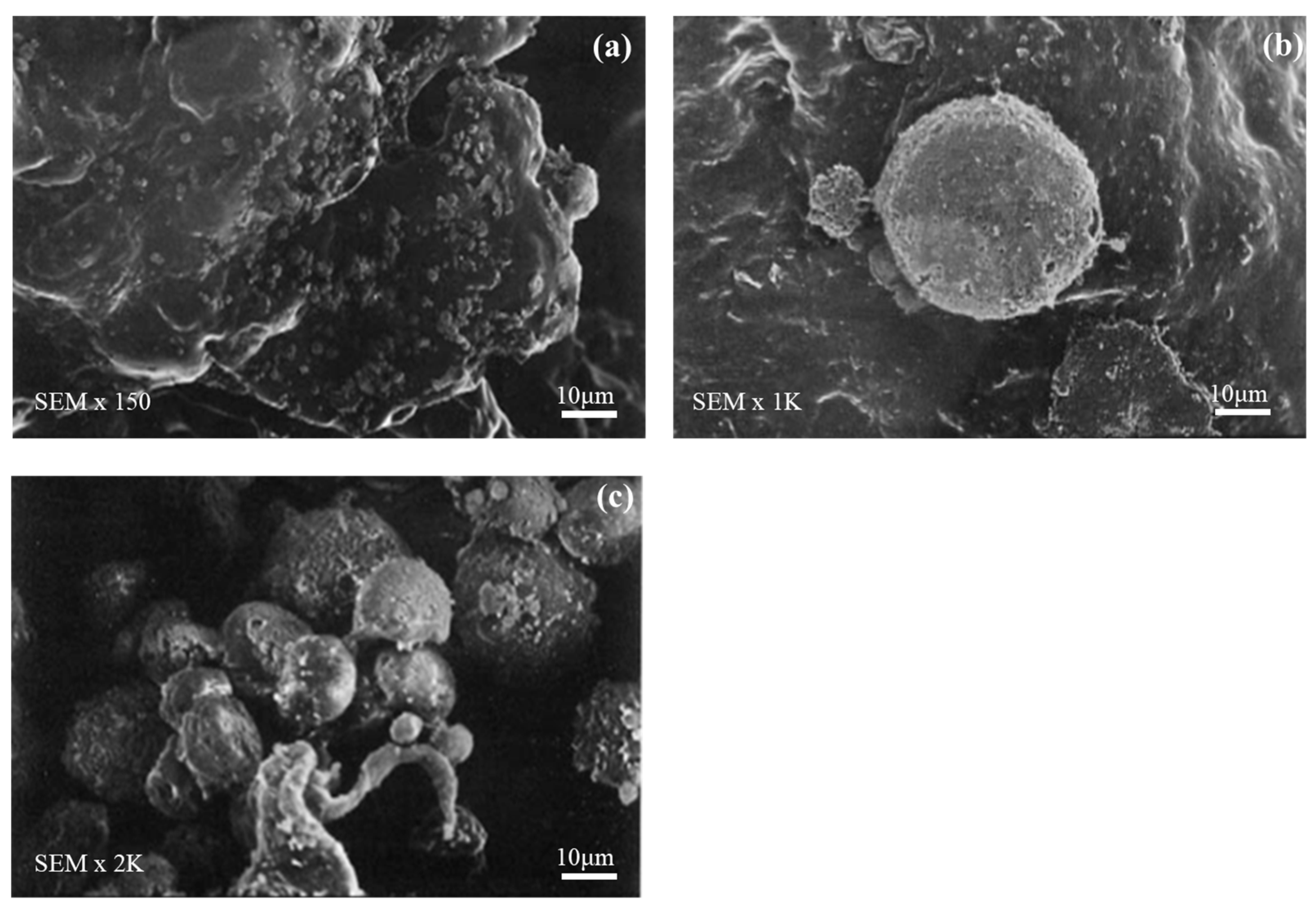 Nanomaterials 09 00941 g006