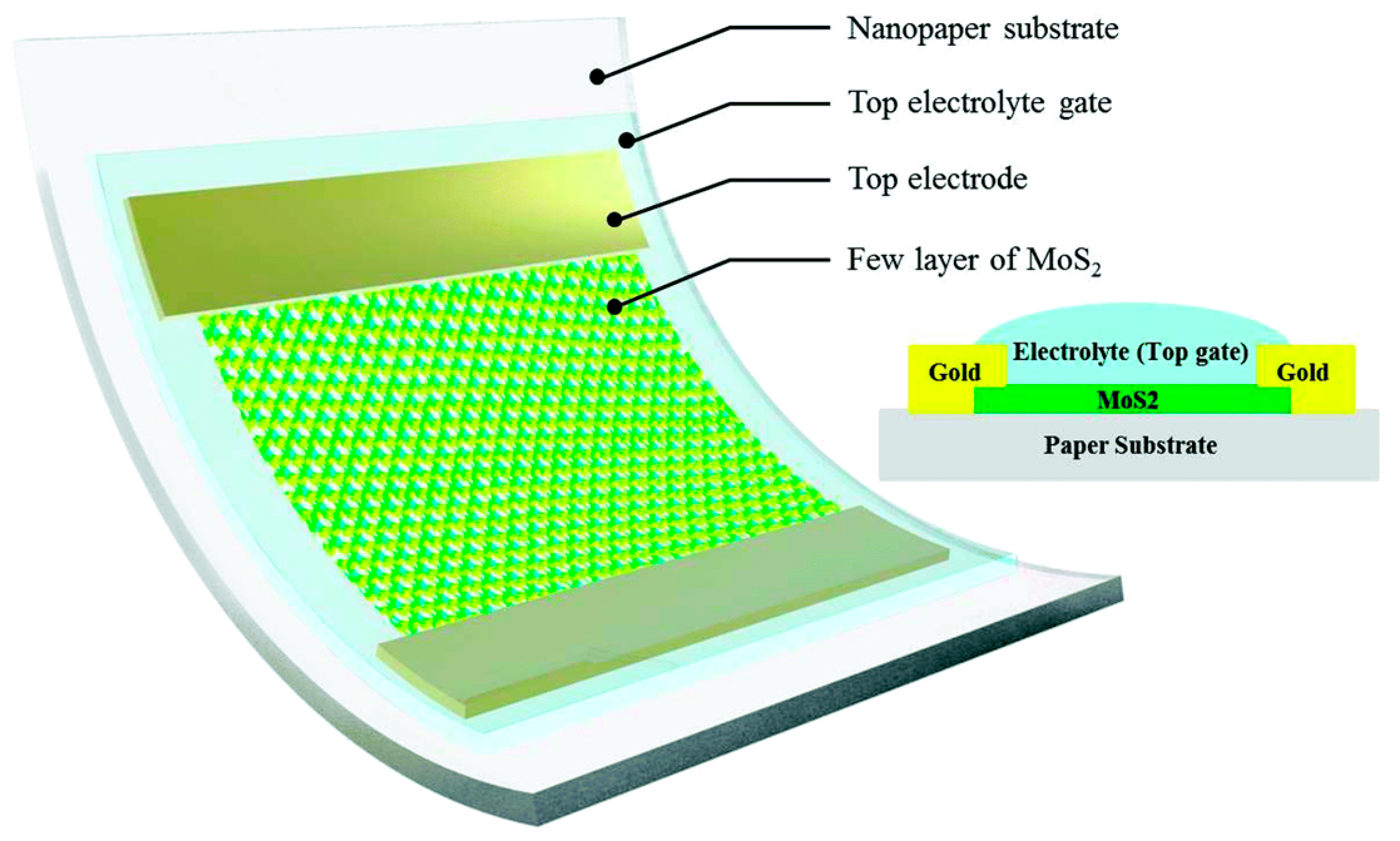 Nanomaterials 09 00950 g001