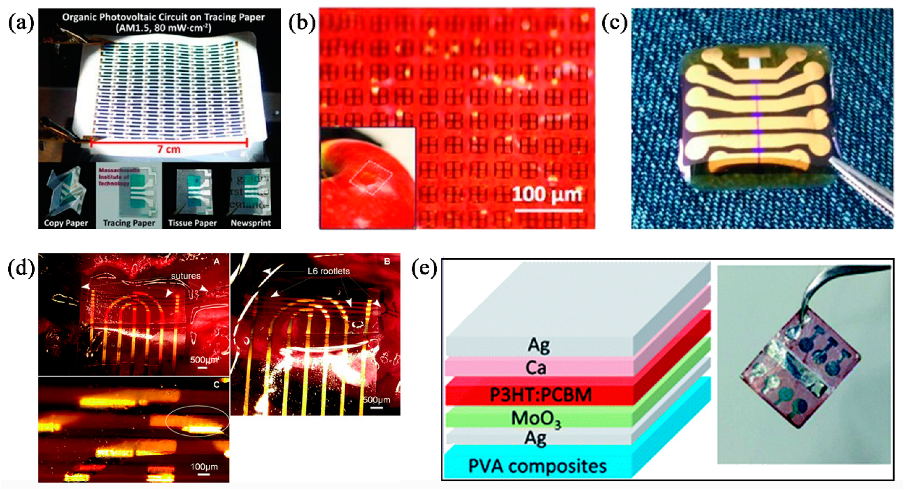 Nanomaterials 09 00950 g002