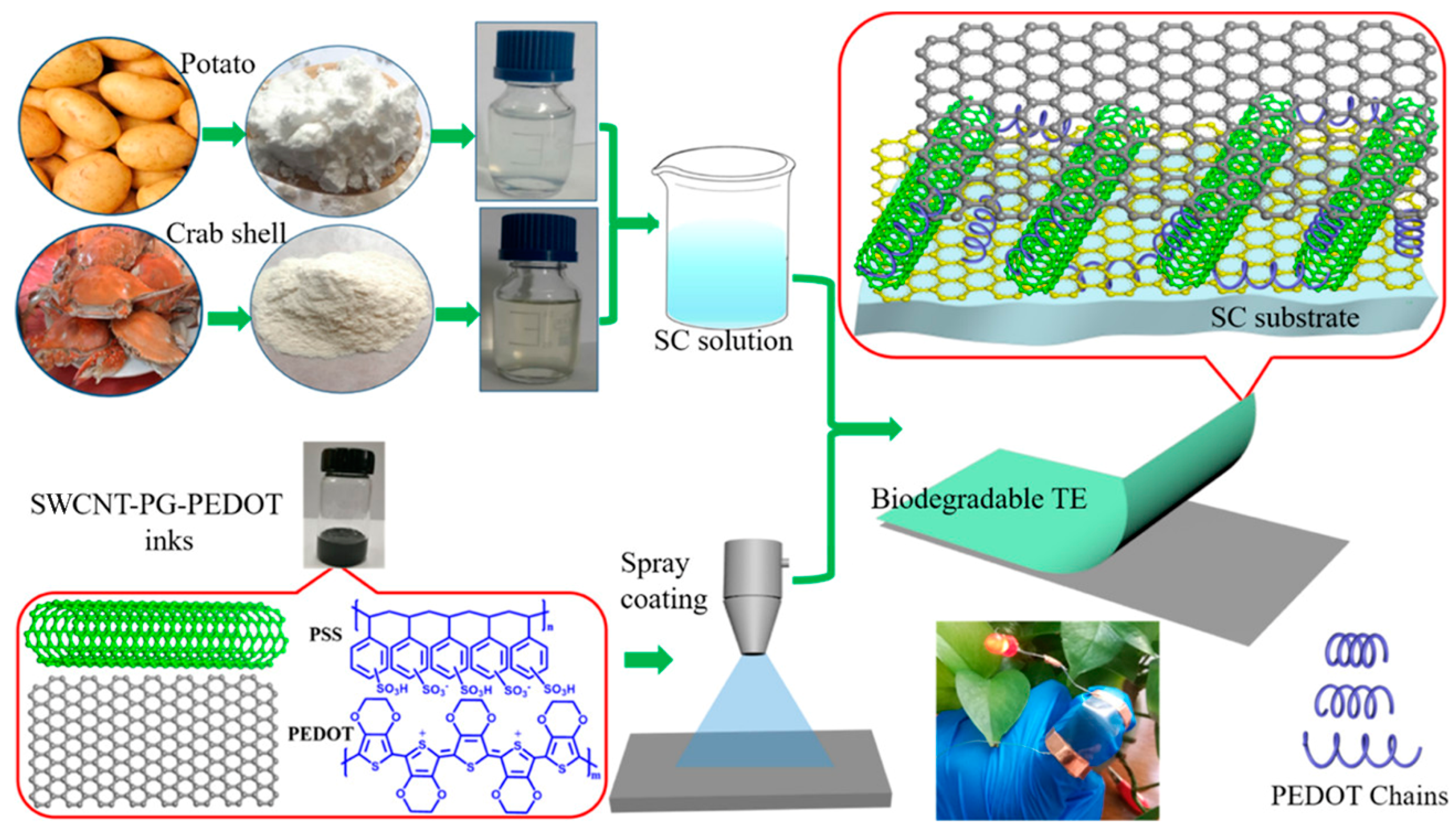 Nanomaterials 09 00950 g007
