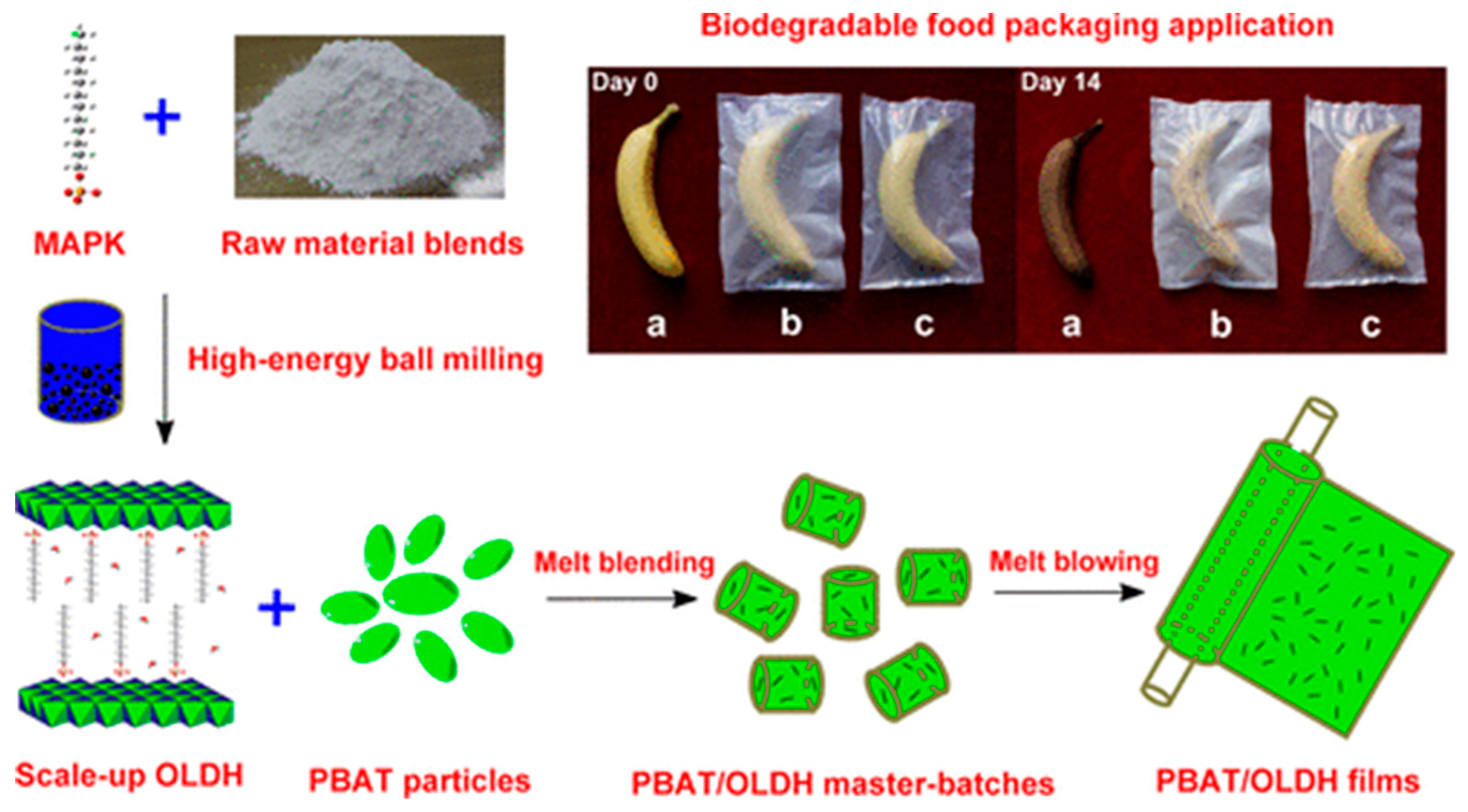 Nanomaterials 09 00950 g012
