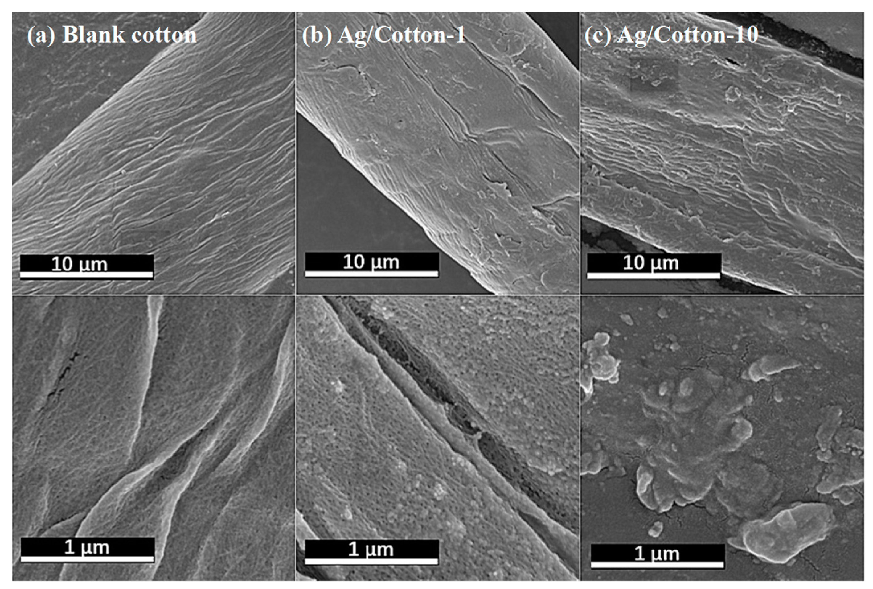 Nanomaterials 09 00961 g007 Nanomaterials 09 00961 g007