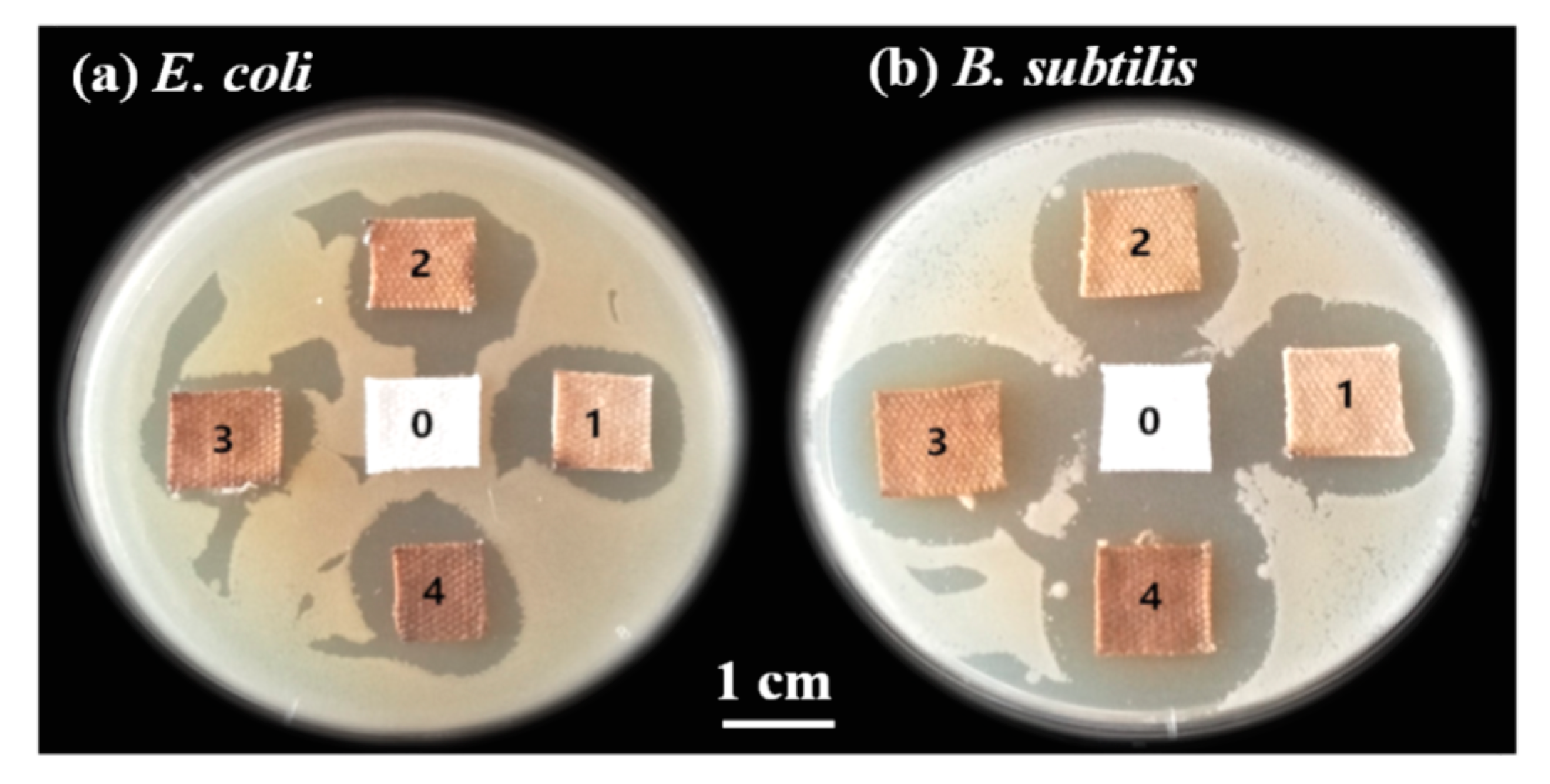 Nanomaterials 09 00961 g010 Nanomaterials 09 00961 g010
