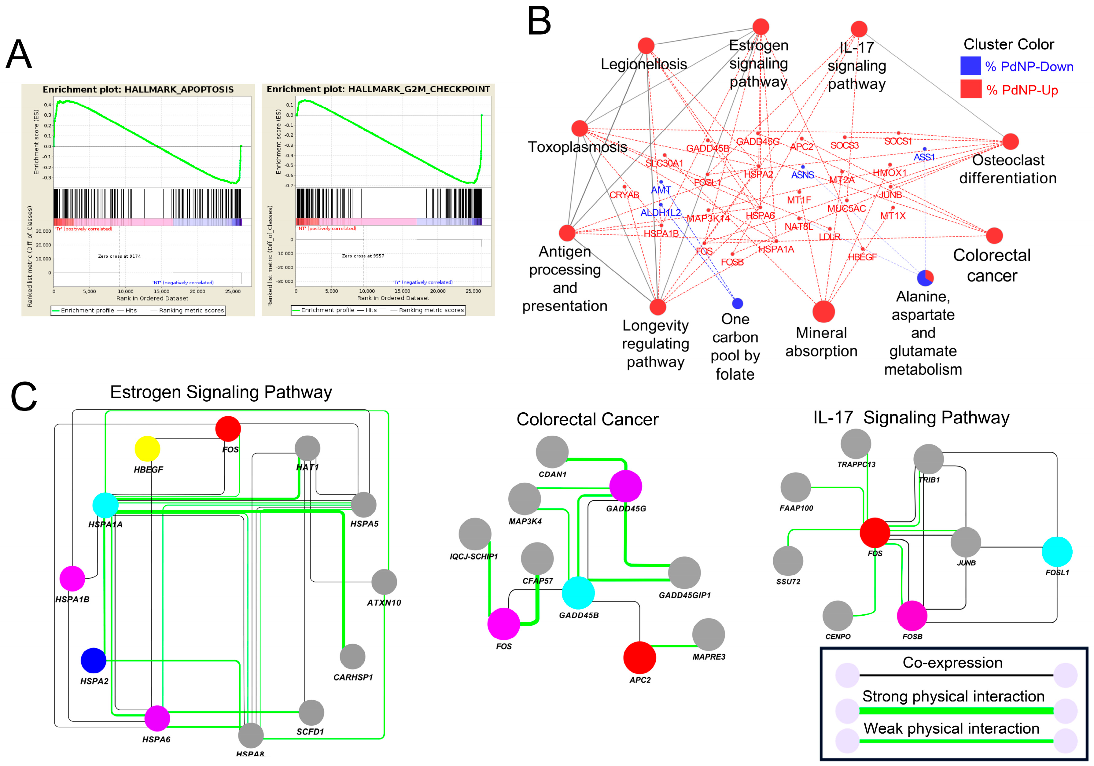 Nanomaterials 09 00969 g010 Nanomaterials 09 00969 g010