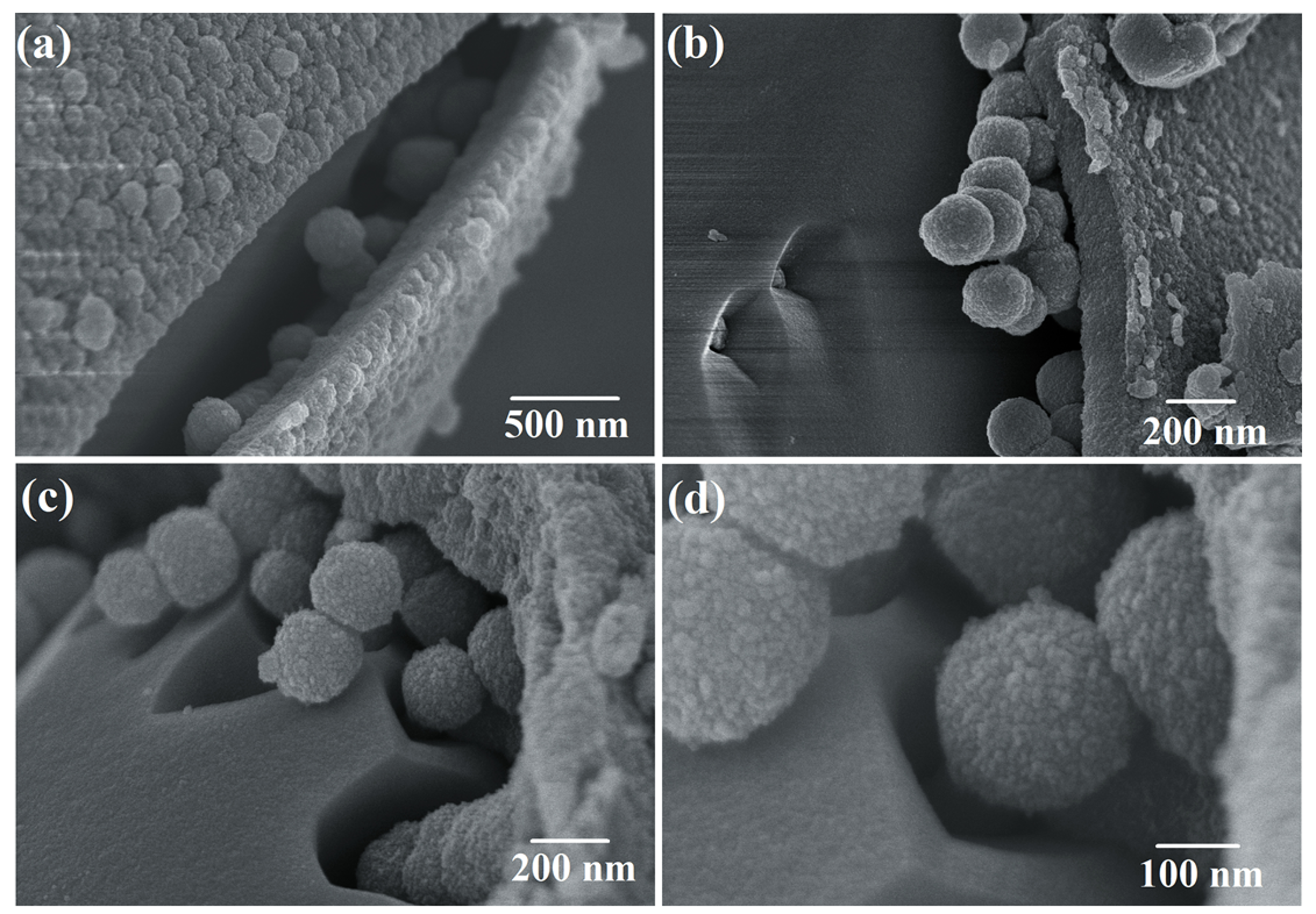 Nanomaterials 09 00977 g005 Nanomaterials 09 00977 g005
