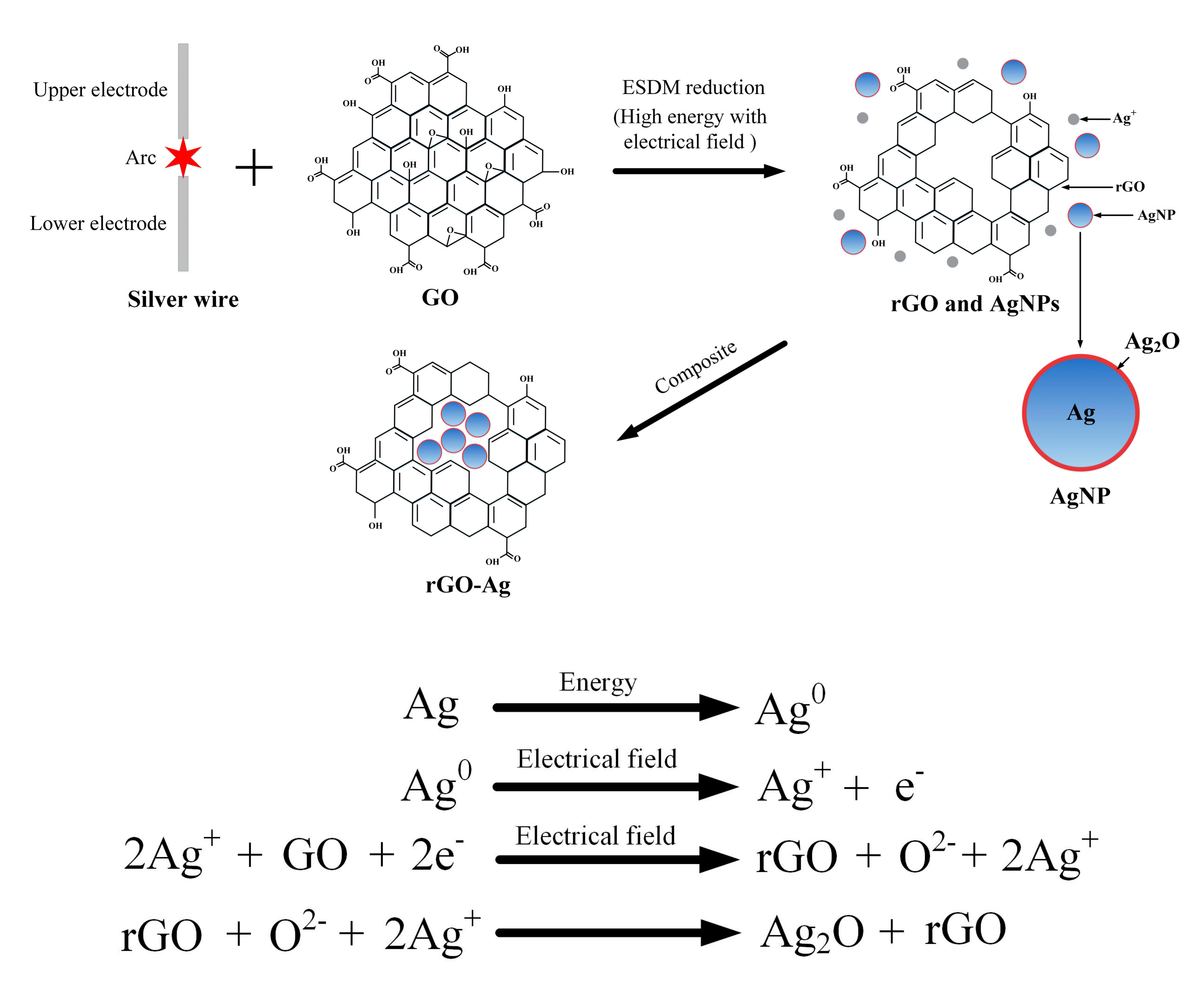 Nanomaterials 09 00979 g003