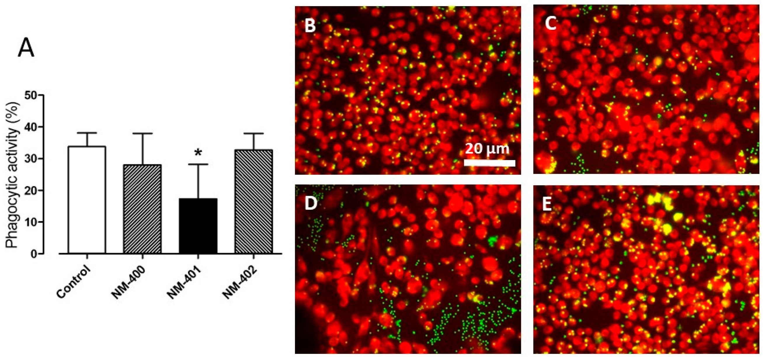 Nanomaterials 09 00982 g005 Nanomaterials 09 00982 g005