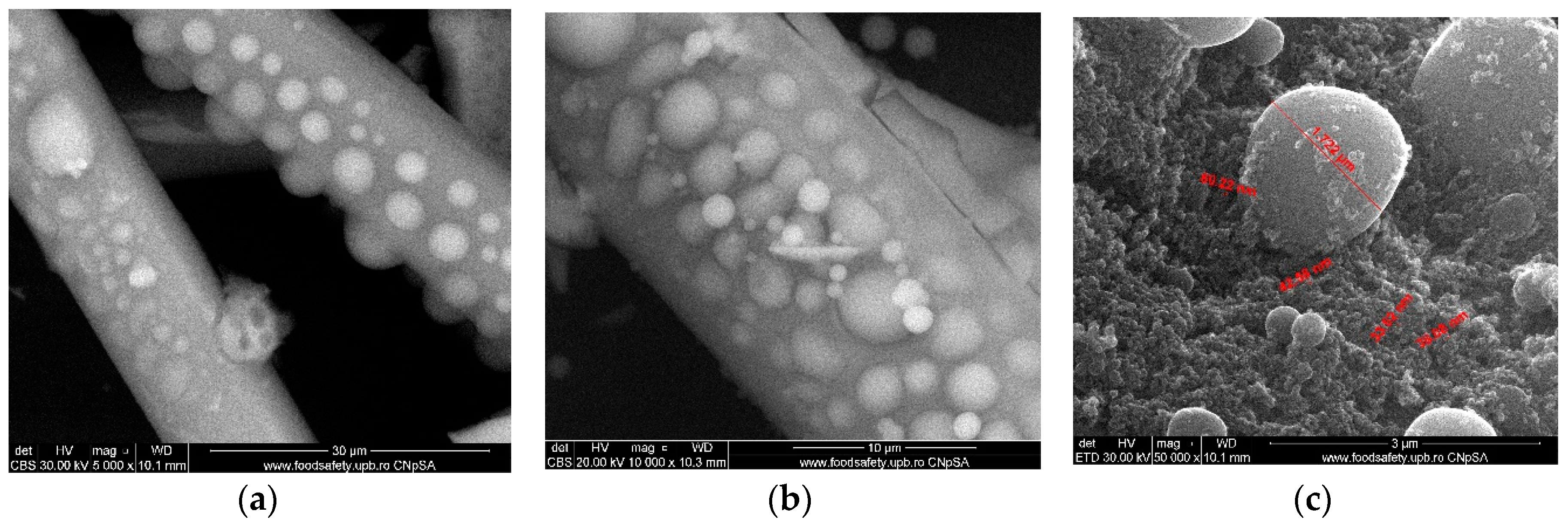Nanomaterials 09 00985 g004 Nanomaterials 09 00985 g004