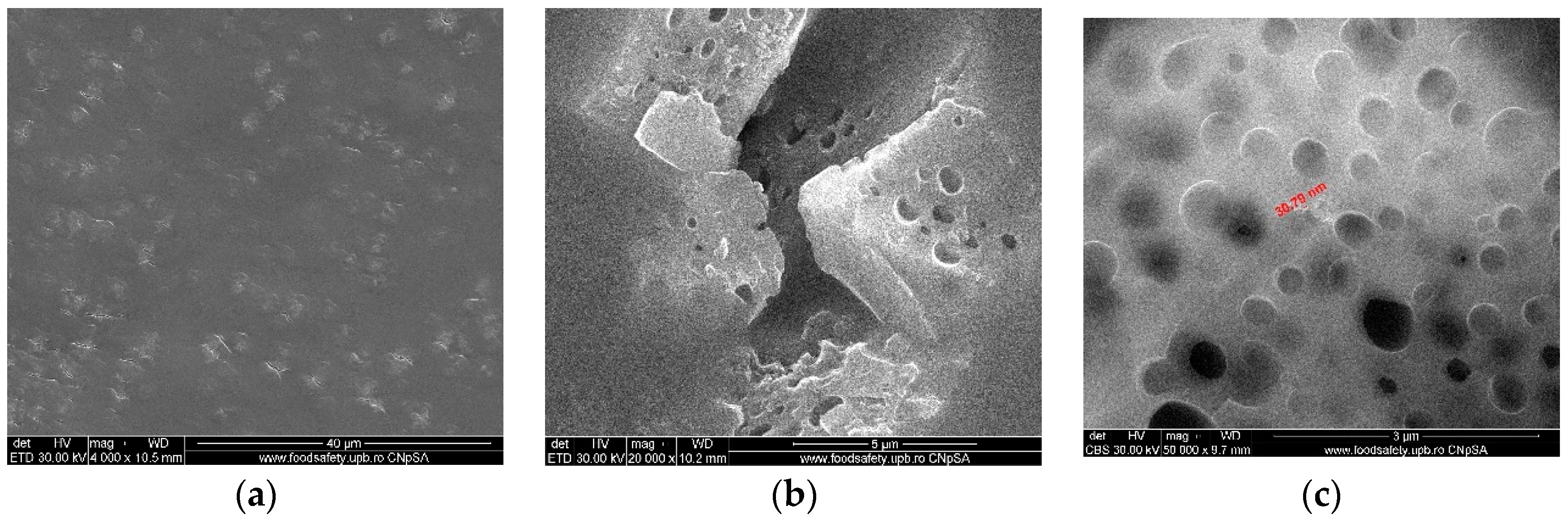 Nanomaterials 09 00985 g005 Nanomaterials 09 00985 g005