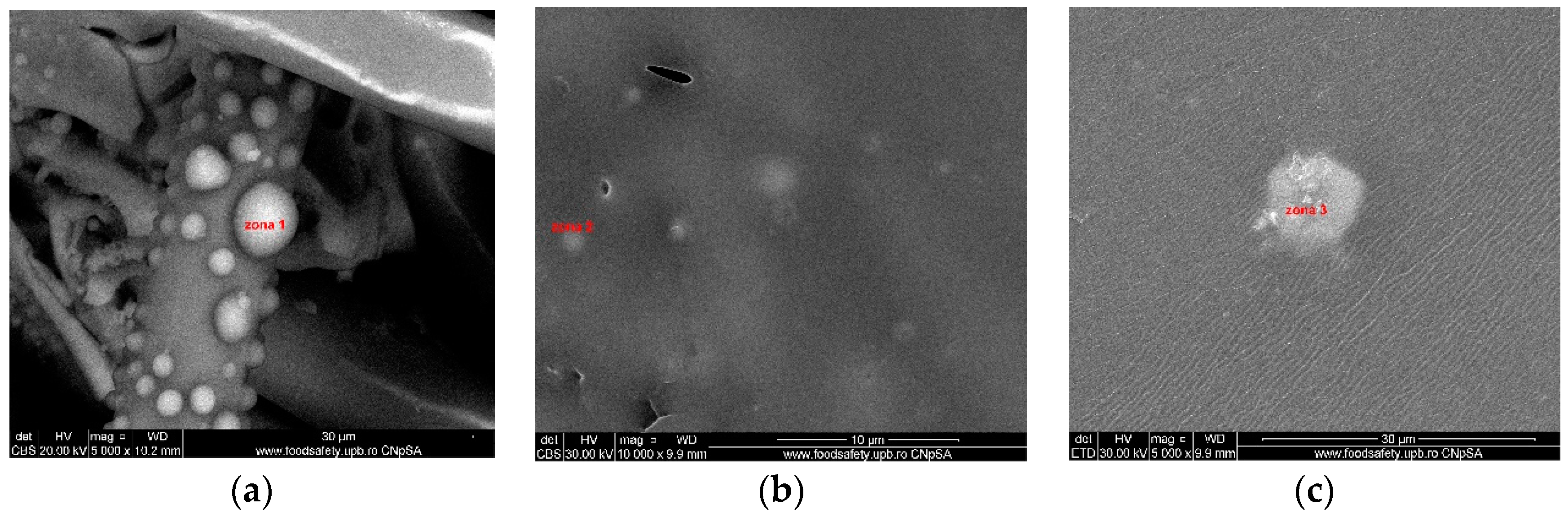 Nanomaterials 09 00985 g006 Nanomaterials 09 00985 g006