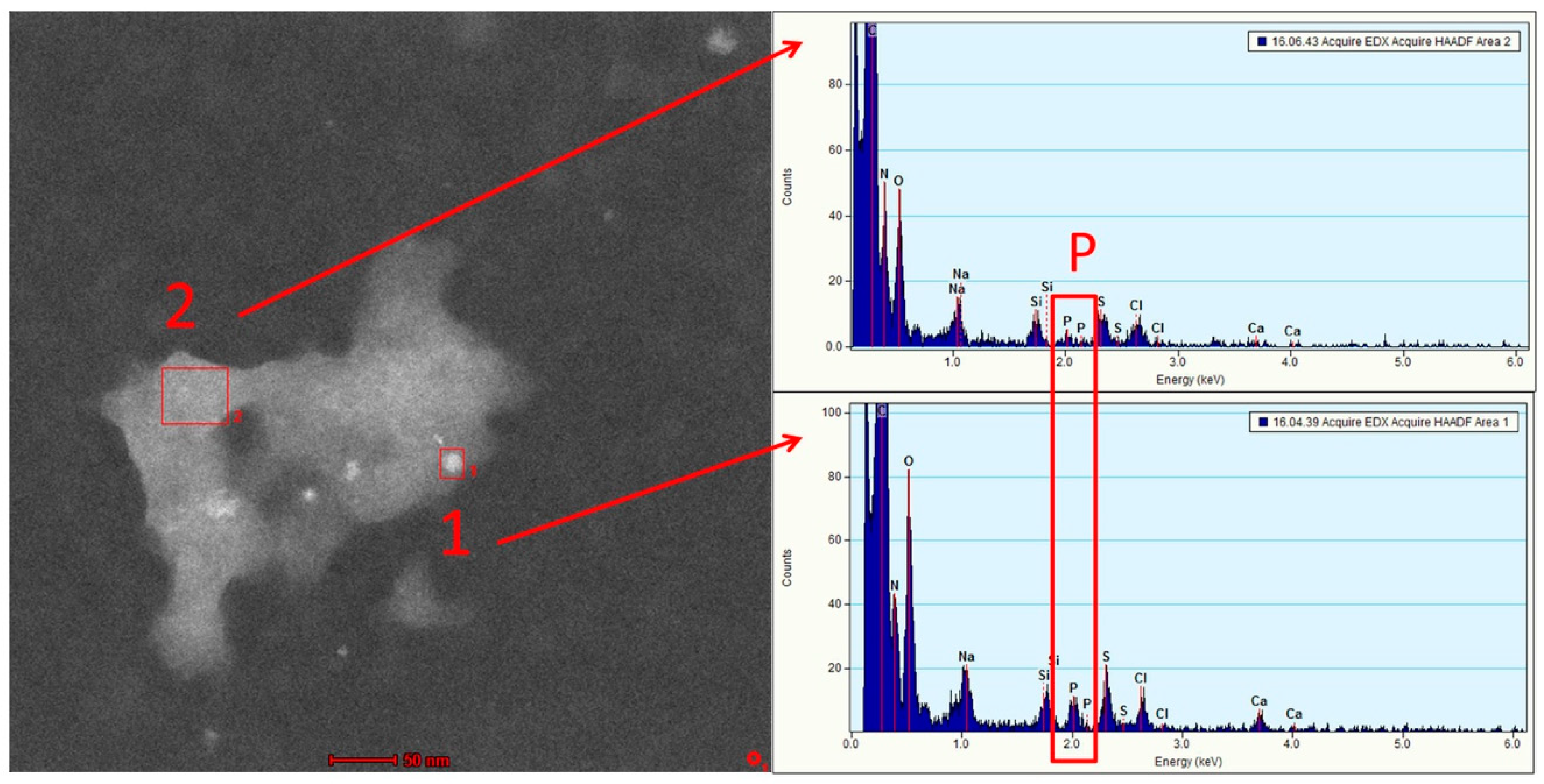Nanomaterials 09 00986 g003 Nanomaterials 09 00986 g003